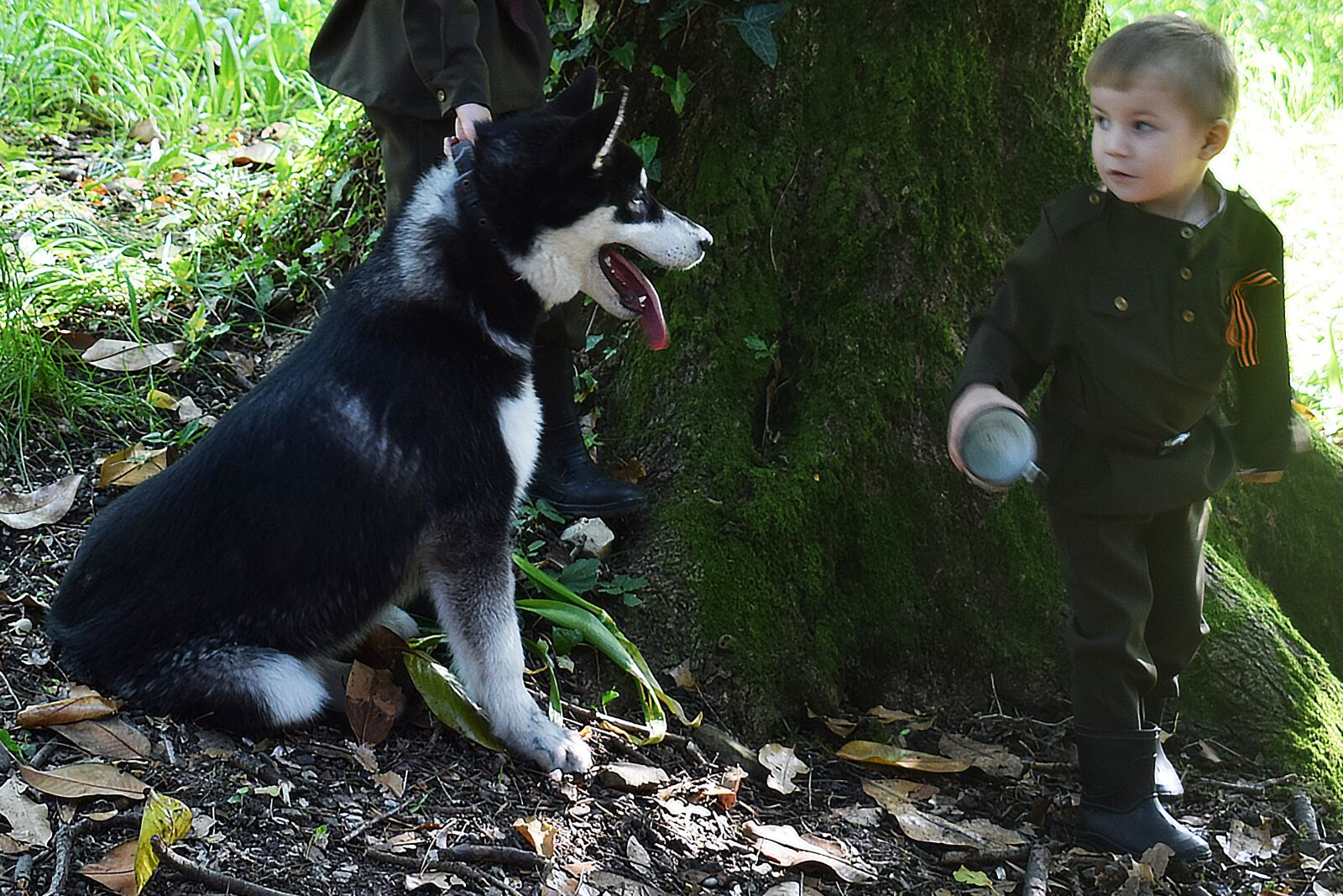 Nikon D3300 sample photo. Children and, pets photography