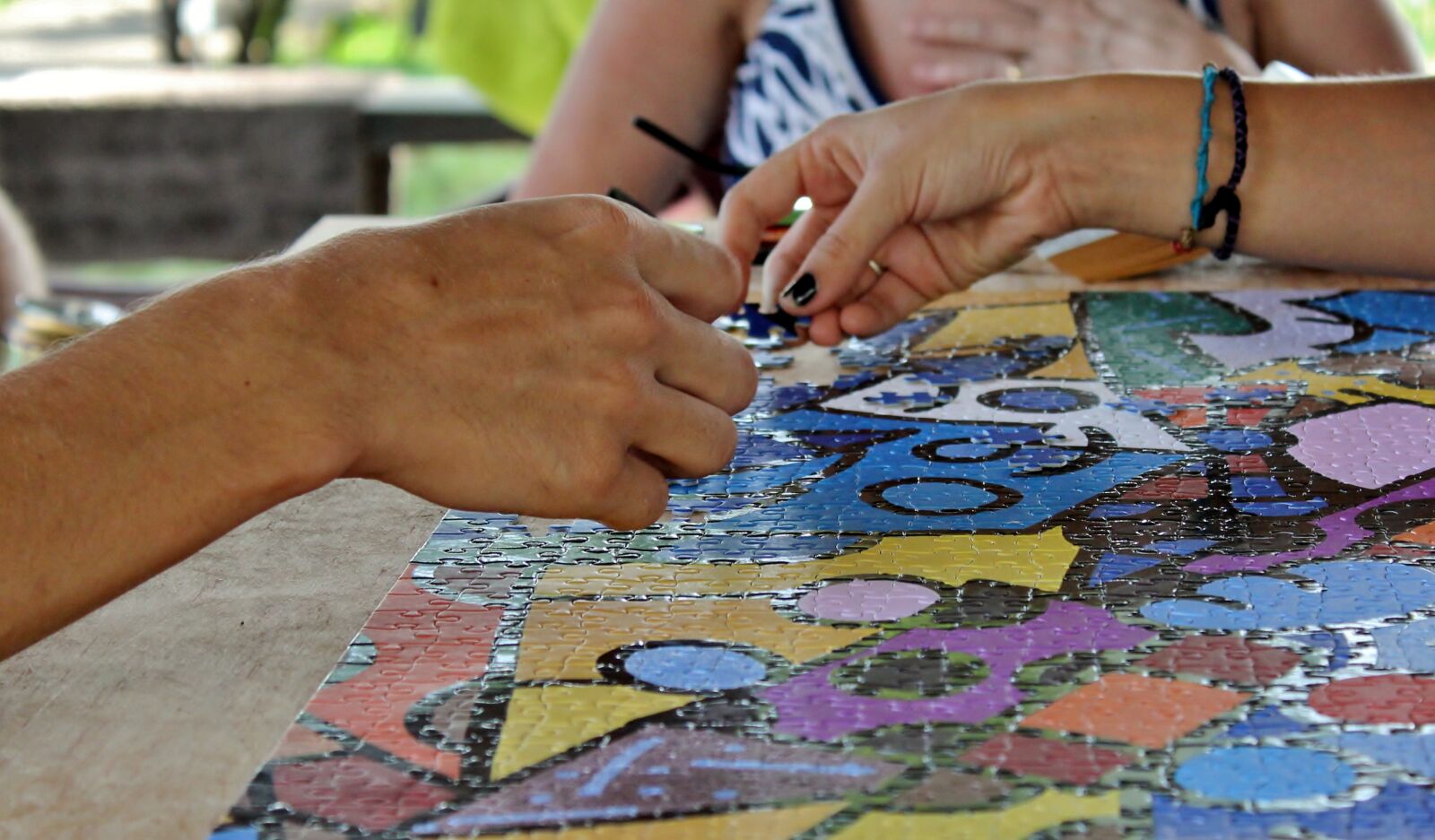 Canon EOS 600D (Rebel EOS T3i / EOS Kiss X5) sample photo. Puzzle, hands, cooperation photography