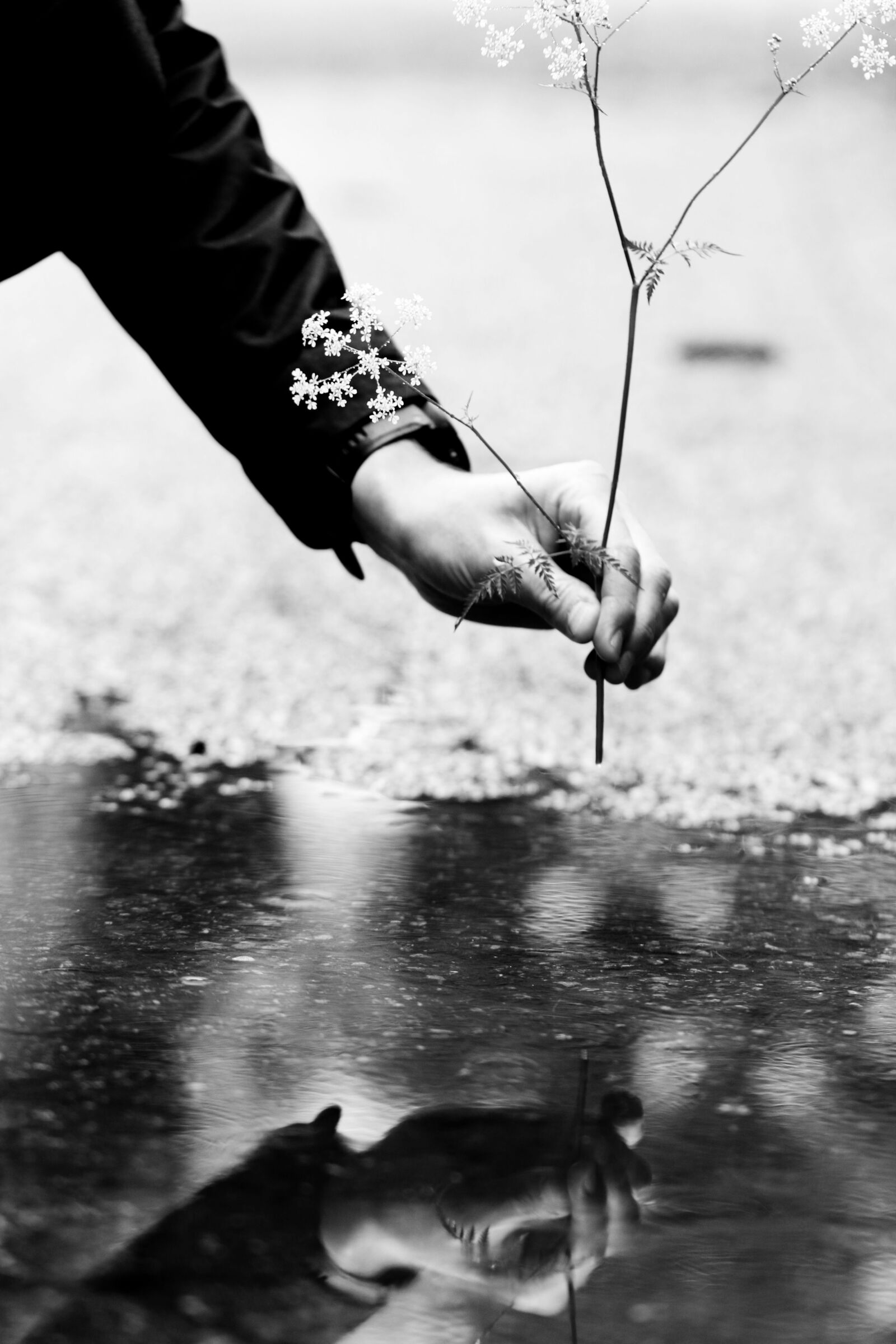 Canon EOS 7D Mark II sample photo. Flower, hand, contrast photography