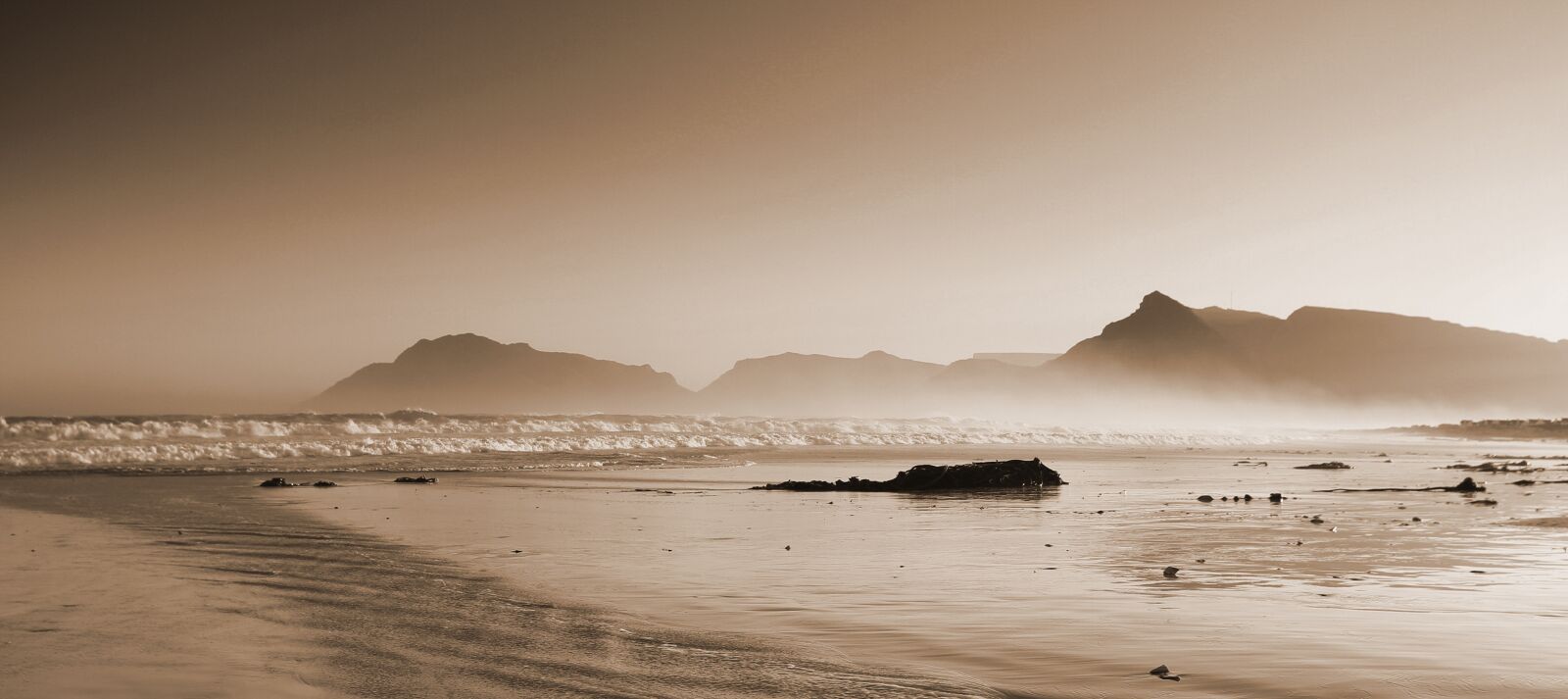 Canon EOS 7D sample photo. Beach, kelp, seaweed photography