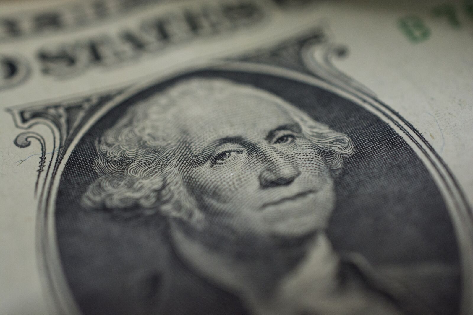 Nikon D7100 sample photo. Dollar, macro, eyes photography