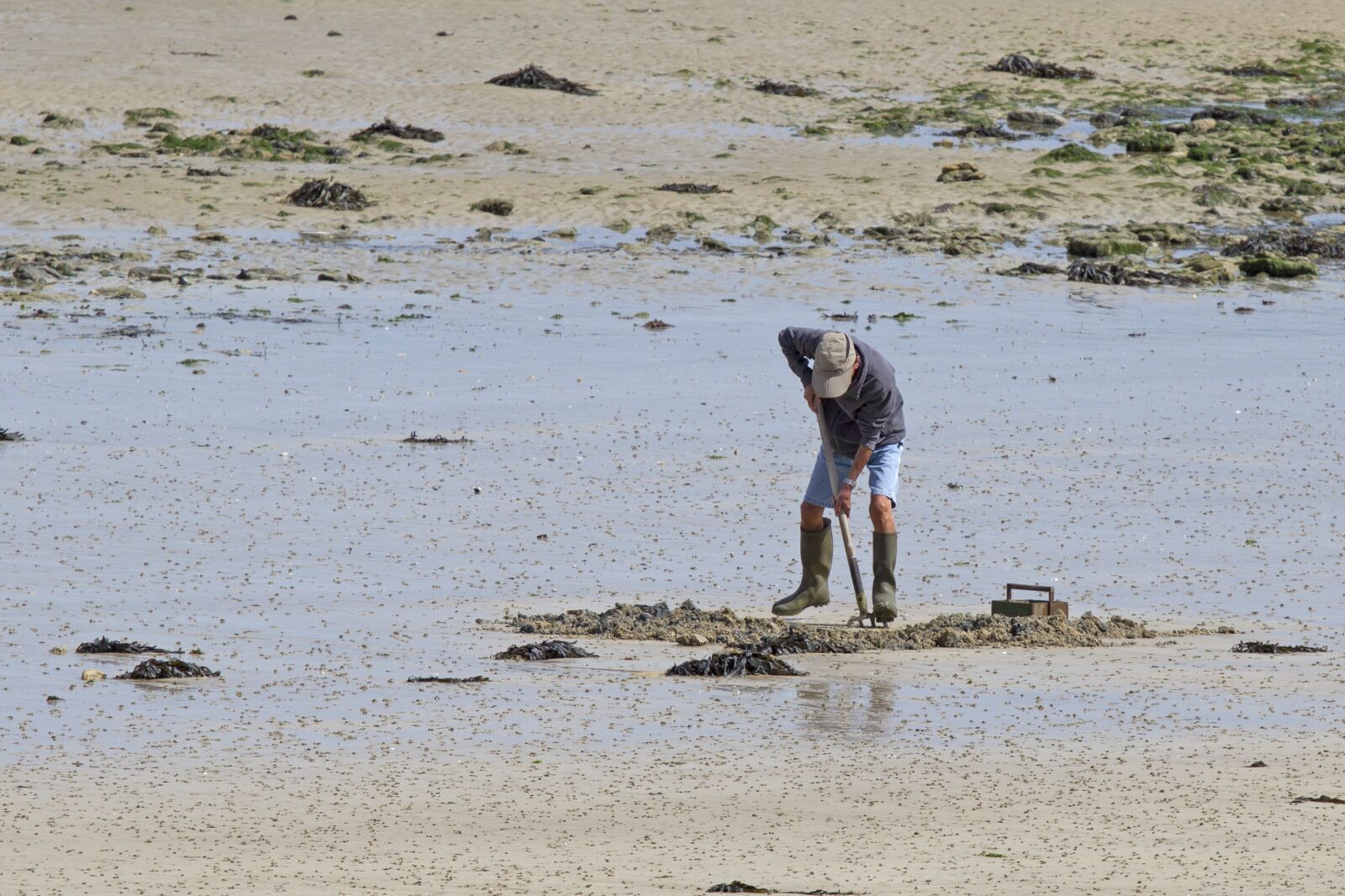 Canon EOS 7D sample photo. Sandworms, forke, watts worms photography