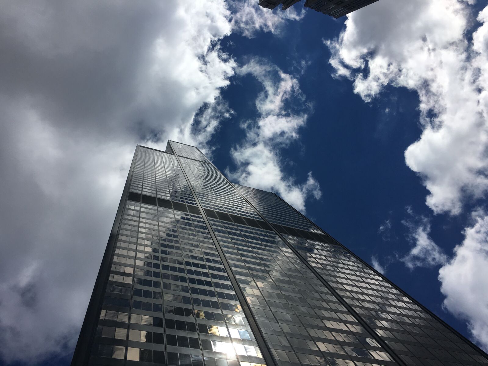 Apple iPhone 6s sample photo. Low, angle, photography, of photography