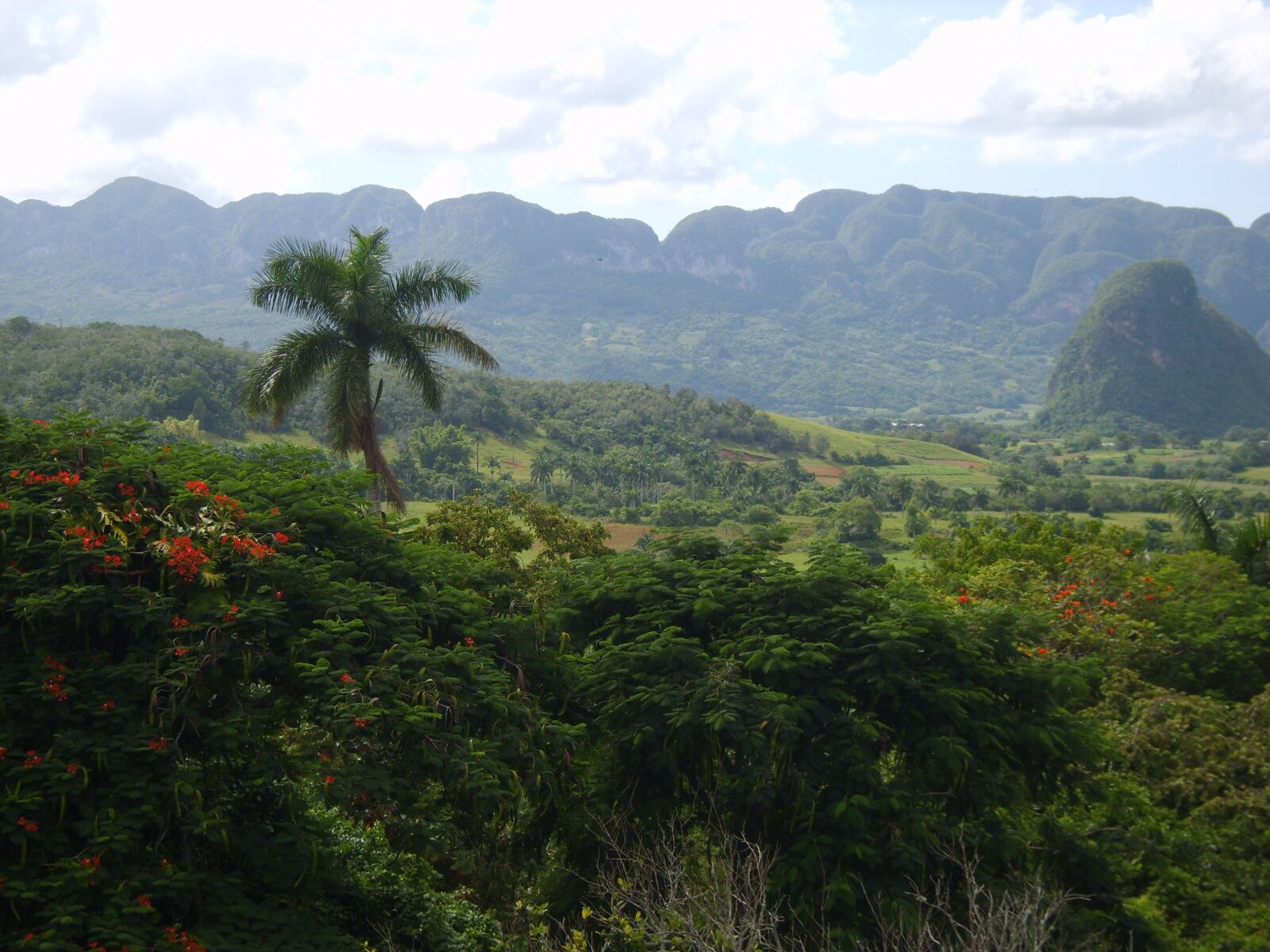 Samsung Digimax S830 / Kenox S830 sample photo. Cuba, vinales, landscape photography