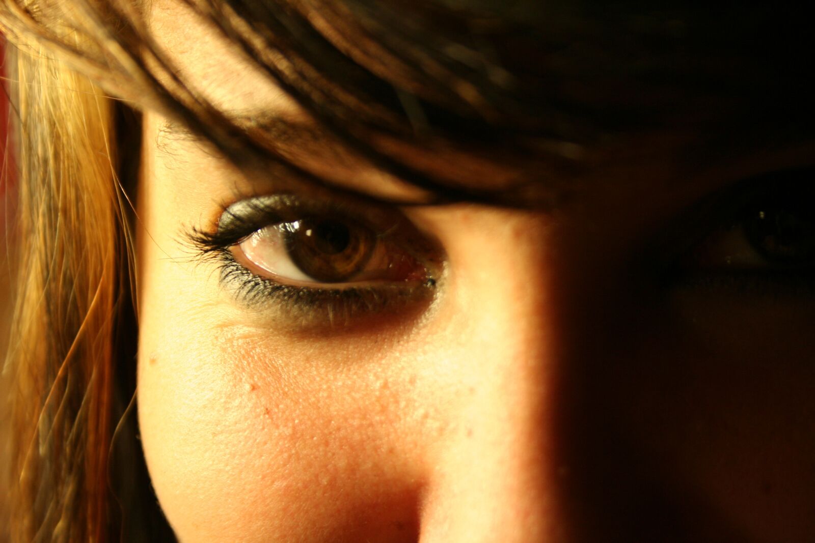 Canon EOS 350D (EOS Digital Rebel XT / EOS Kiss Digital N) sample photo. Eye, see, vision photography
