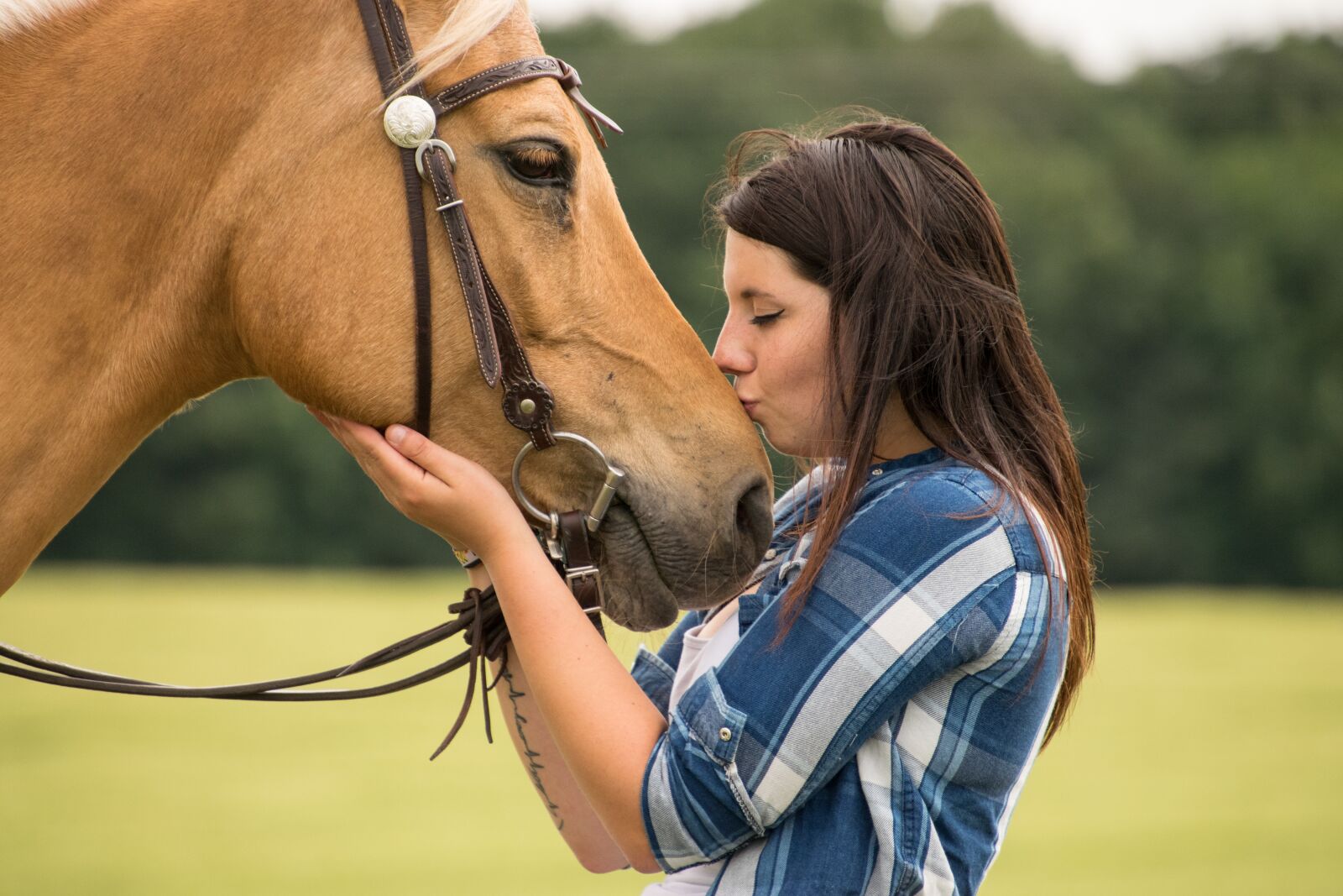 Nikon D3300 sample photo. Horse, trust, love photography