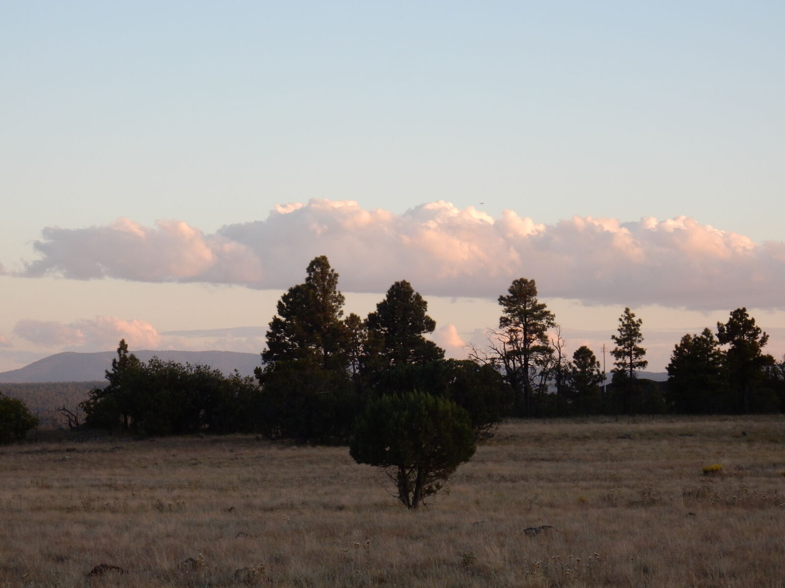 Nikon Coolpix S9900 sample photo. Arizona, flagstaff, southwest, sunset photography