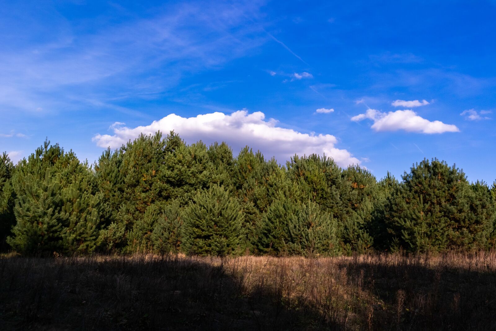 Samsung NX 18-55mm F3.5-5.6 OIS sample photo. Landscape, nature, autumn photography