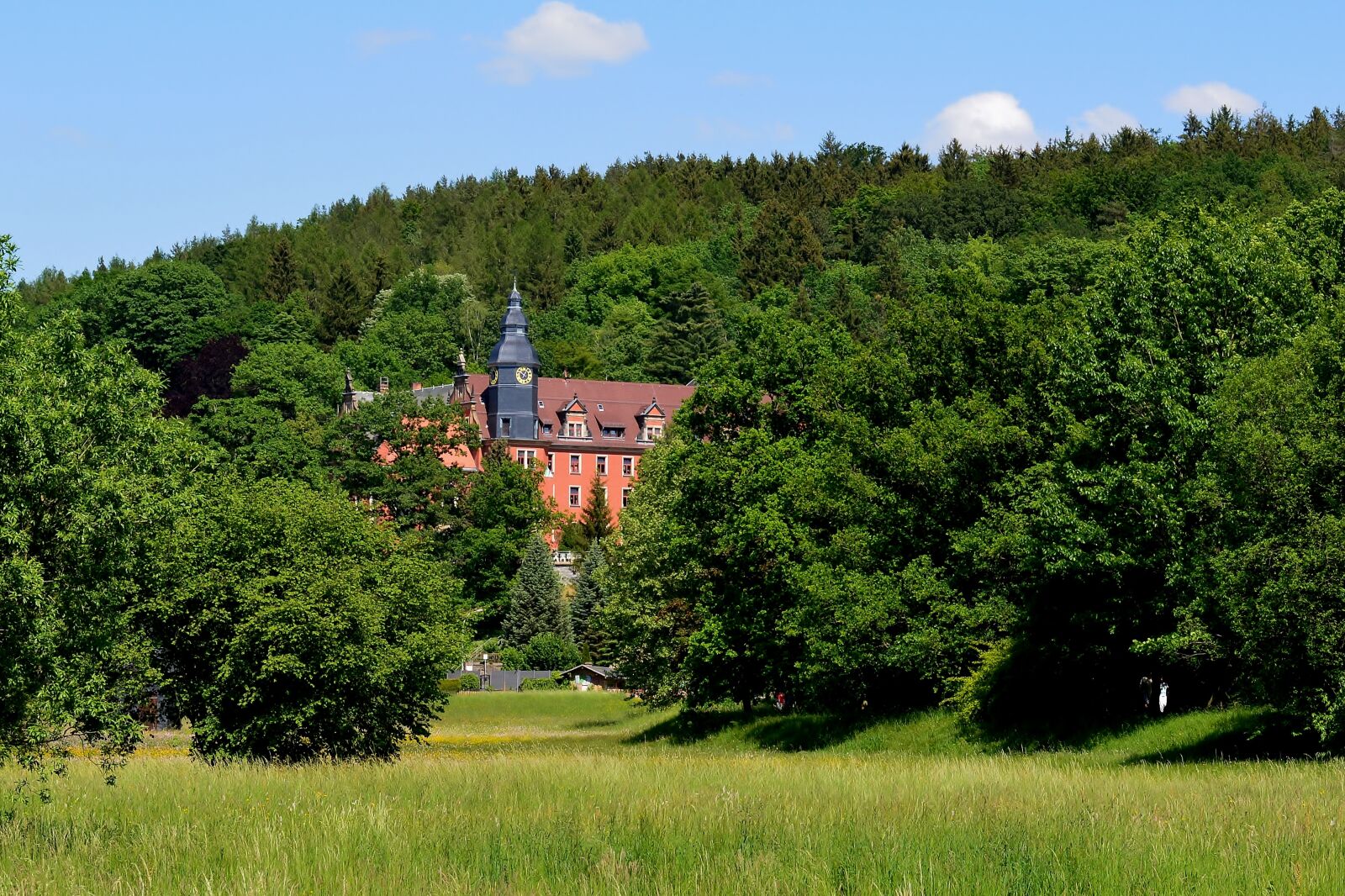 Nikon D5200 sample photo. Park, greiz, greizer park photography
