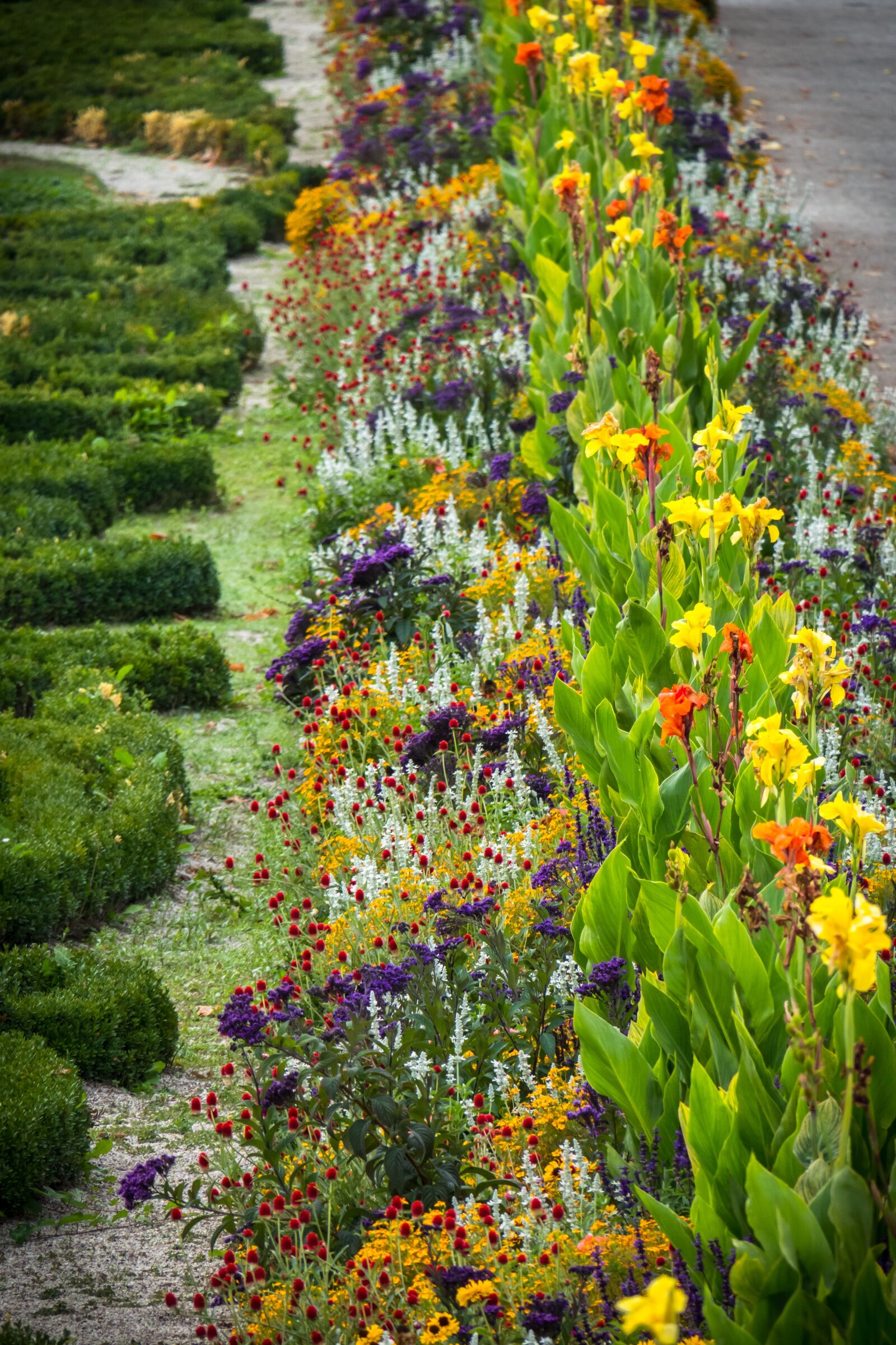 Canon PowerShot G3 X sample photo. Flower bed, colorful, diversity photography