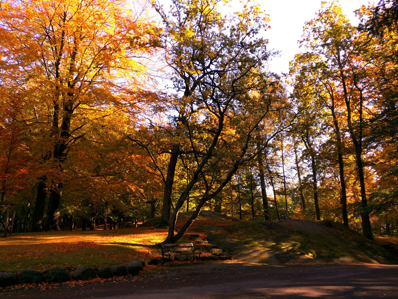 Motorola Nexus 6 sample photo. Autumn, autumn, colours, bench photography