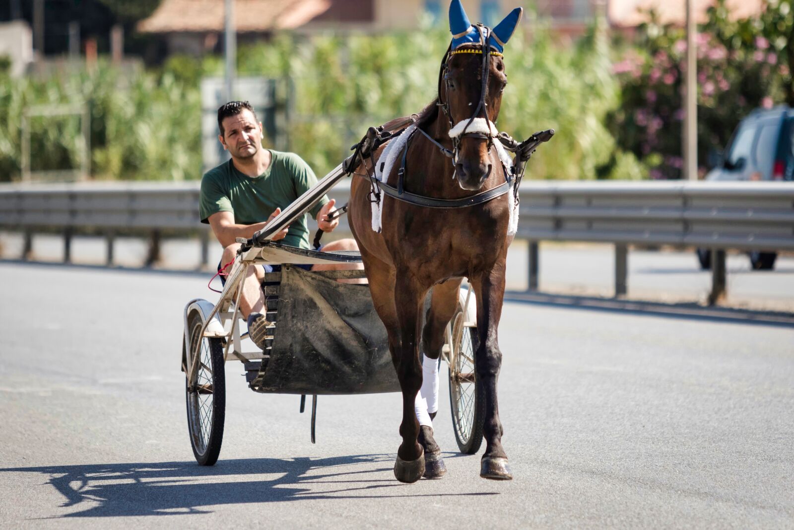Canon EF 70-200mm F2.8L USM sample photo. Jockey, trot, performance photography