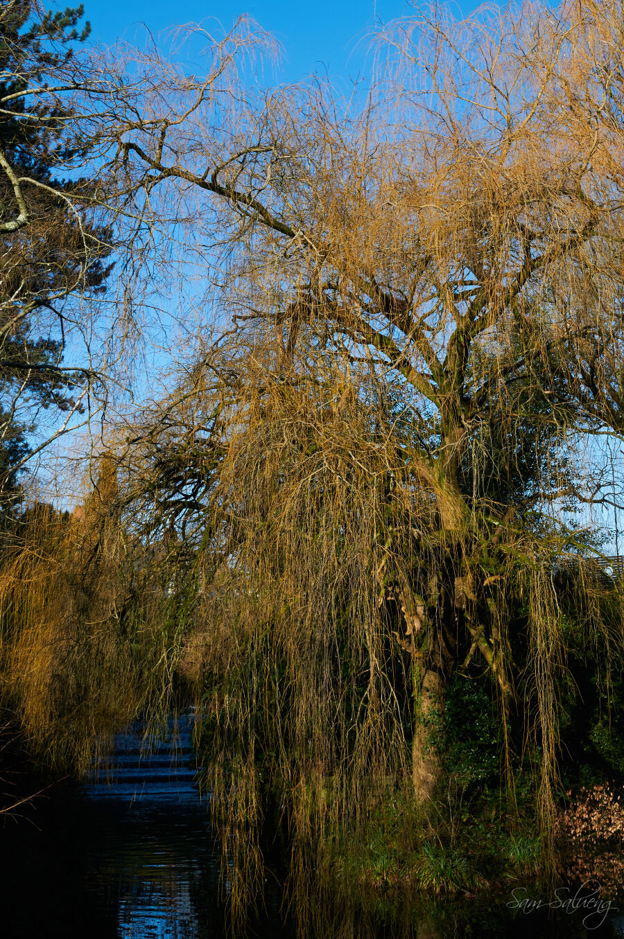 Nikon D300 sample photo - TmJcfDvDYS - ExploreCams