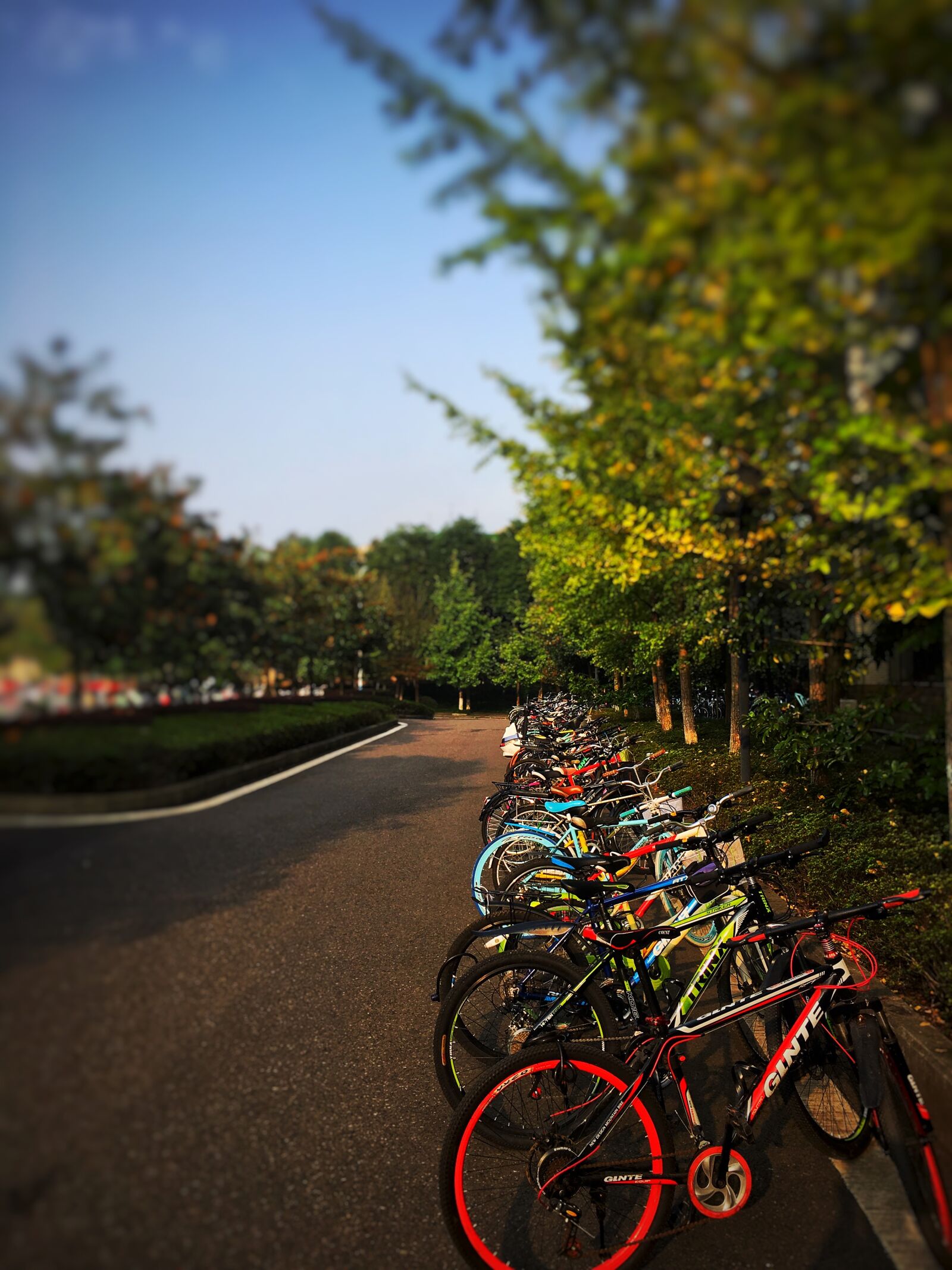 Apple iPhone 6s sample photo. Bike, summer, high contrast photography