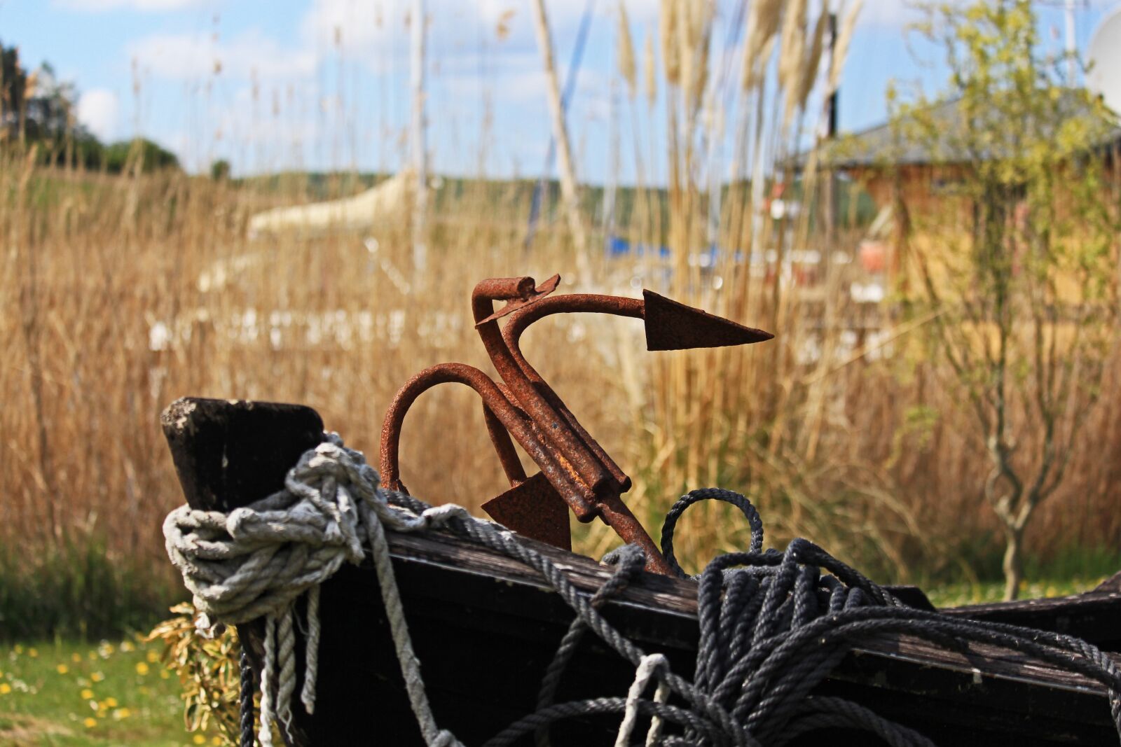 Canon EOS 700D (EOS Rebel T5i / EOS Kiss X7i) sample photo. Maritime, seedorf, anchor photography