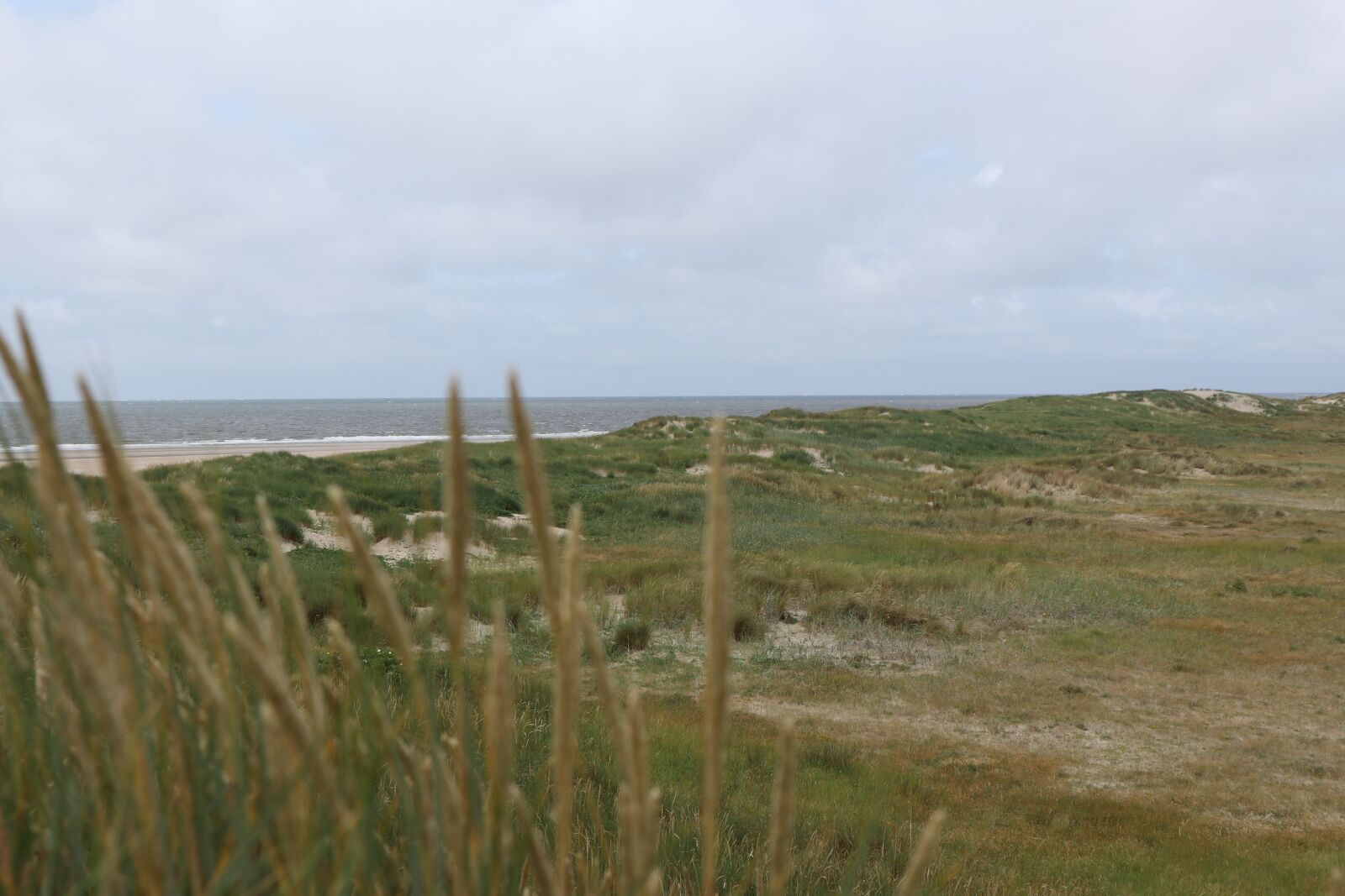 Canon EOS M100 sample photo. Sea, sand dunes, north photography
