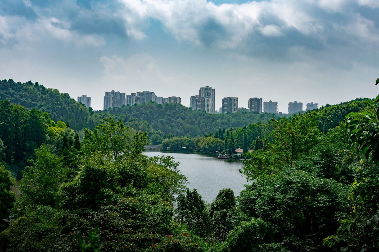 Nikon D3400 sample photo. Cloud, cumulus, forest photography
