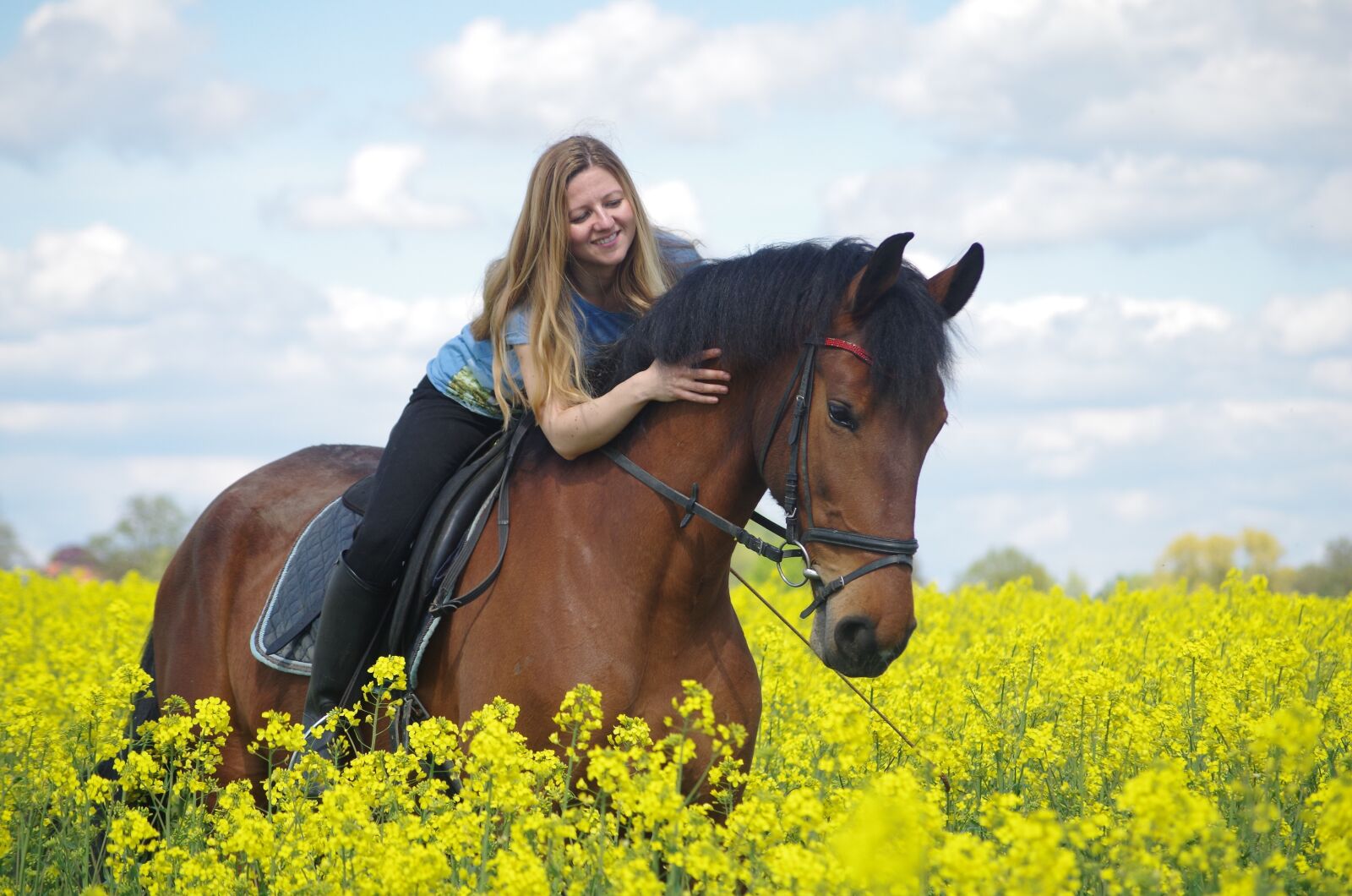 Pentax K-30 sample photo. Ride, horse, brown photography