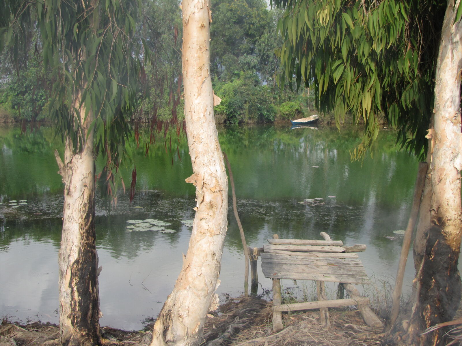 Canon PowerShot SX20 IS sample photo. River photography