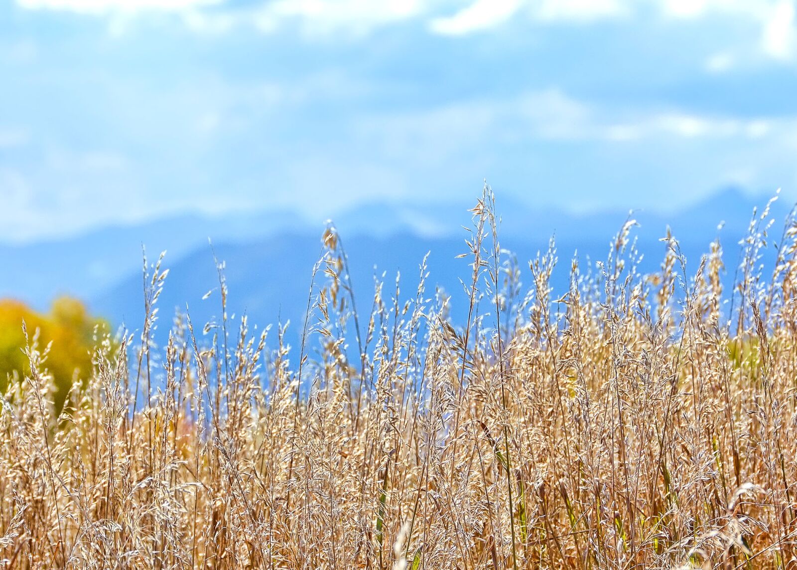 Nikon D7100 sample photo. Fall, mountains, autumn photography