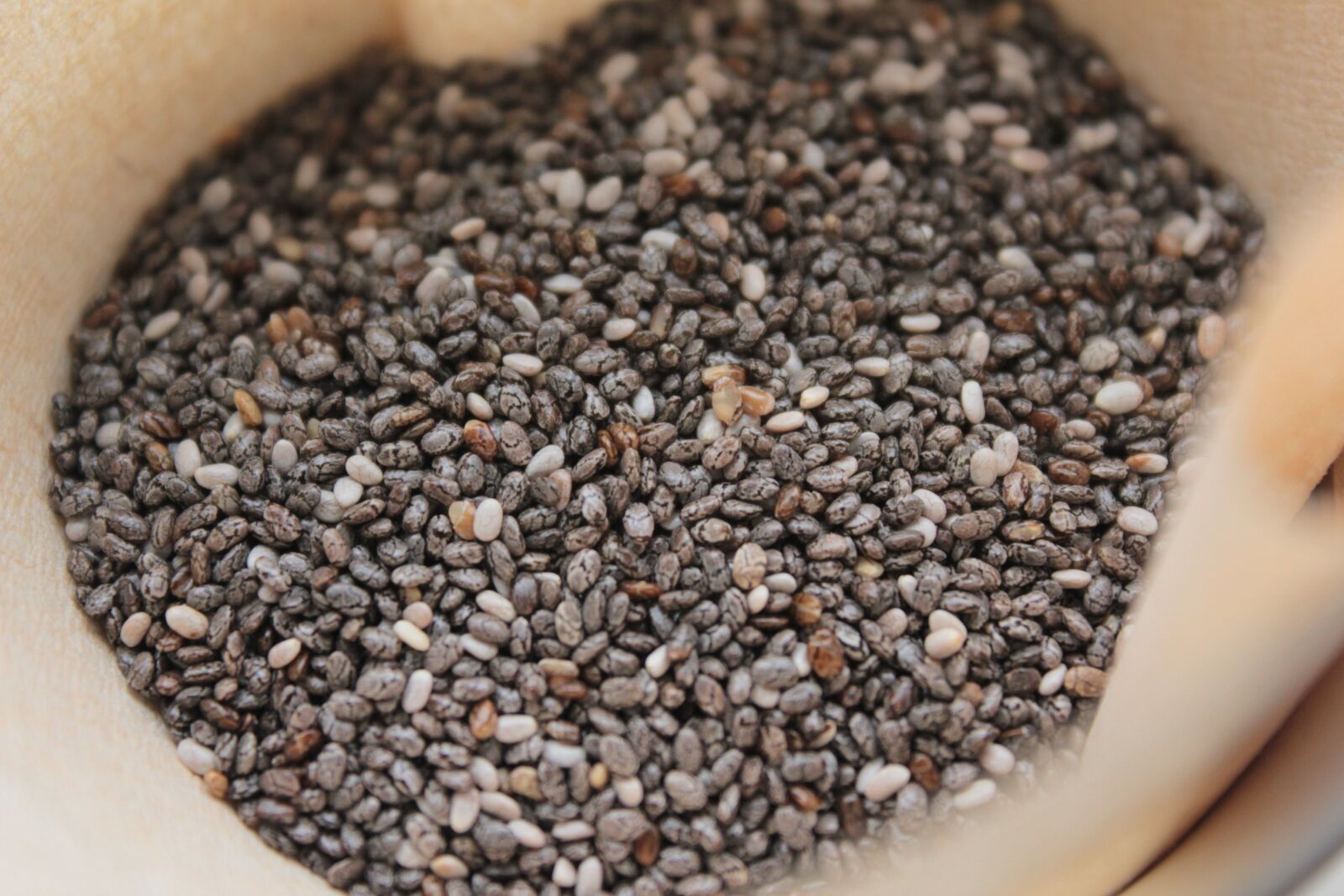 Canon EOS 550D (EOS Rebel T2i / EOS Kiss X4) sample photo. Odd nigerian seeds, seed photography