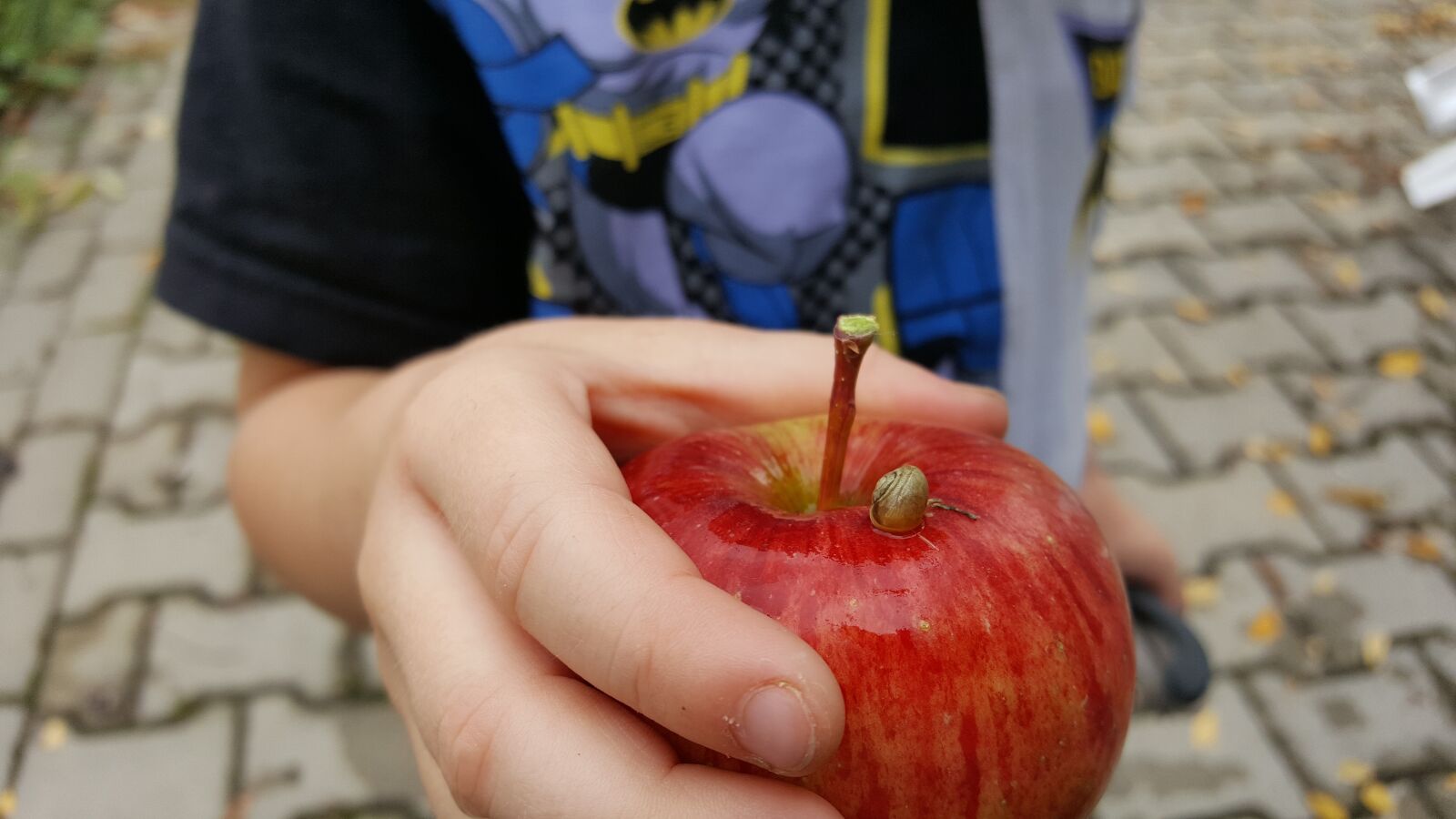 Samsung Galaxy S6 sample photo. Apple, snail, child photography