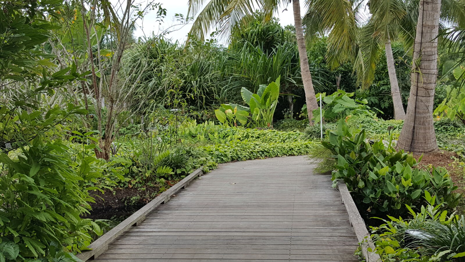 Samsung GALAXY S6 edge sample photo. Botanical, gardens photography