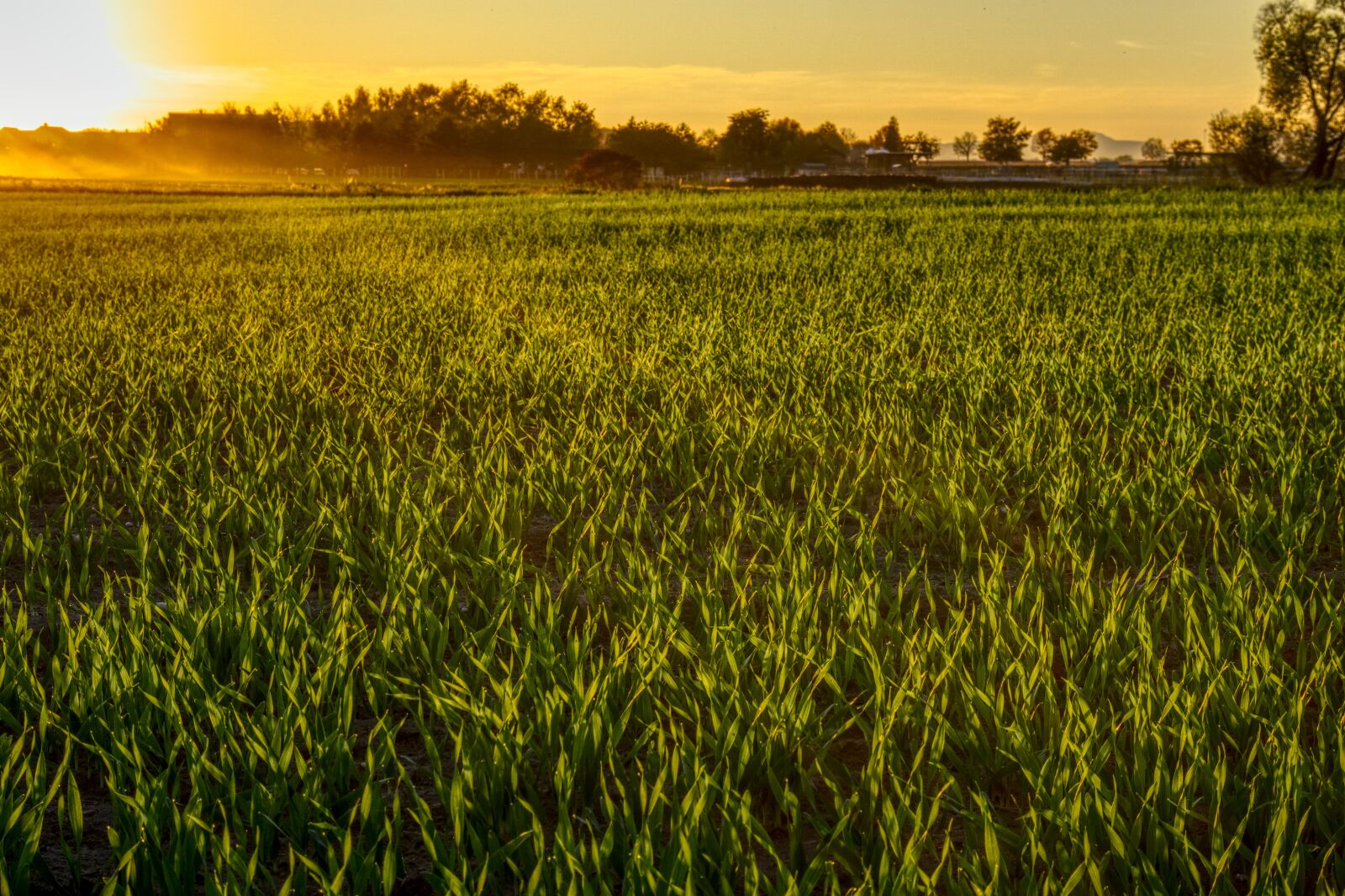 Sony E 16-50mm F3.5-5.6 PZ OSS sample photo. Sunset, mood, lighting photography