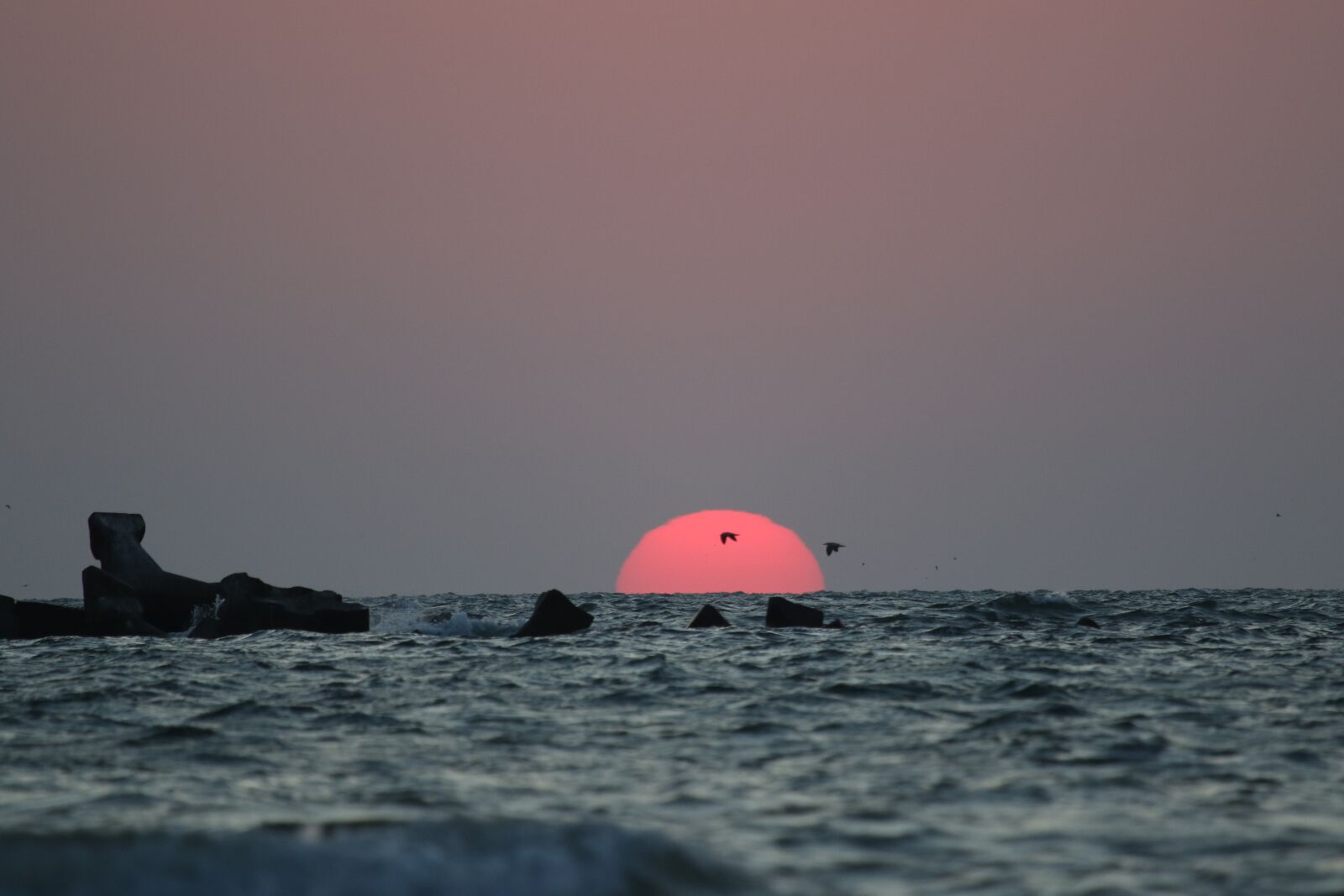 Canon EOS 7D Mark II + Canon EF 100-400mm F4.5-5.6L IS USM sample photo. Sunrise, water, ocean photography