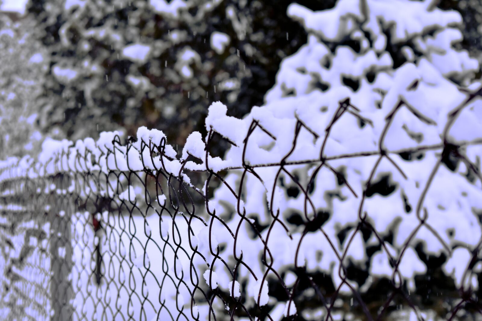 Nikon D3400 sample photo. Snow, fence, winter photography