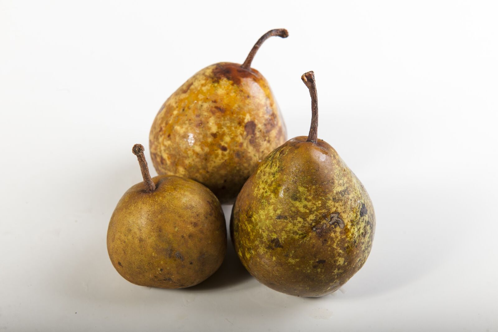 Nikon D3X sample photo. Pears, brown, nature photography
