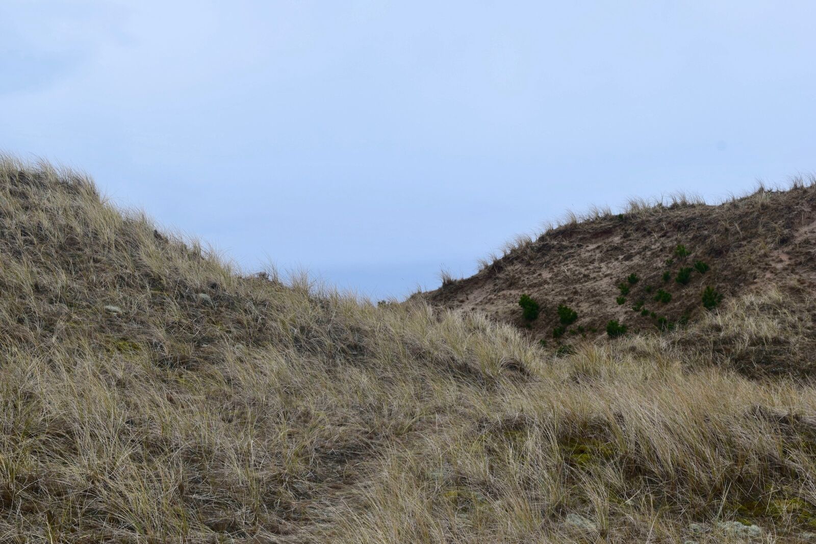 Nikon D3300 sample photo. Skagen, landscape, denmark photography