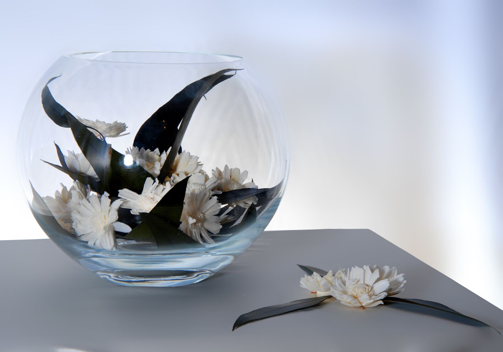 Nikon D200 sample photo. Ikebana, daisy, vase photography