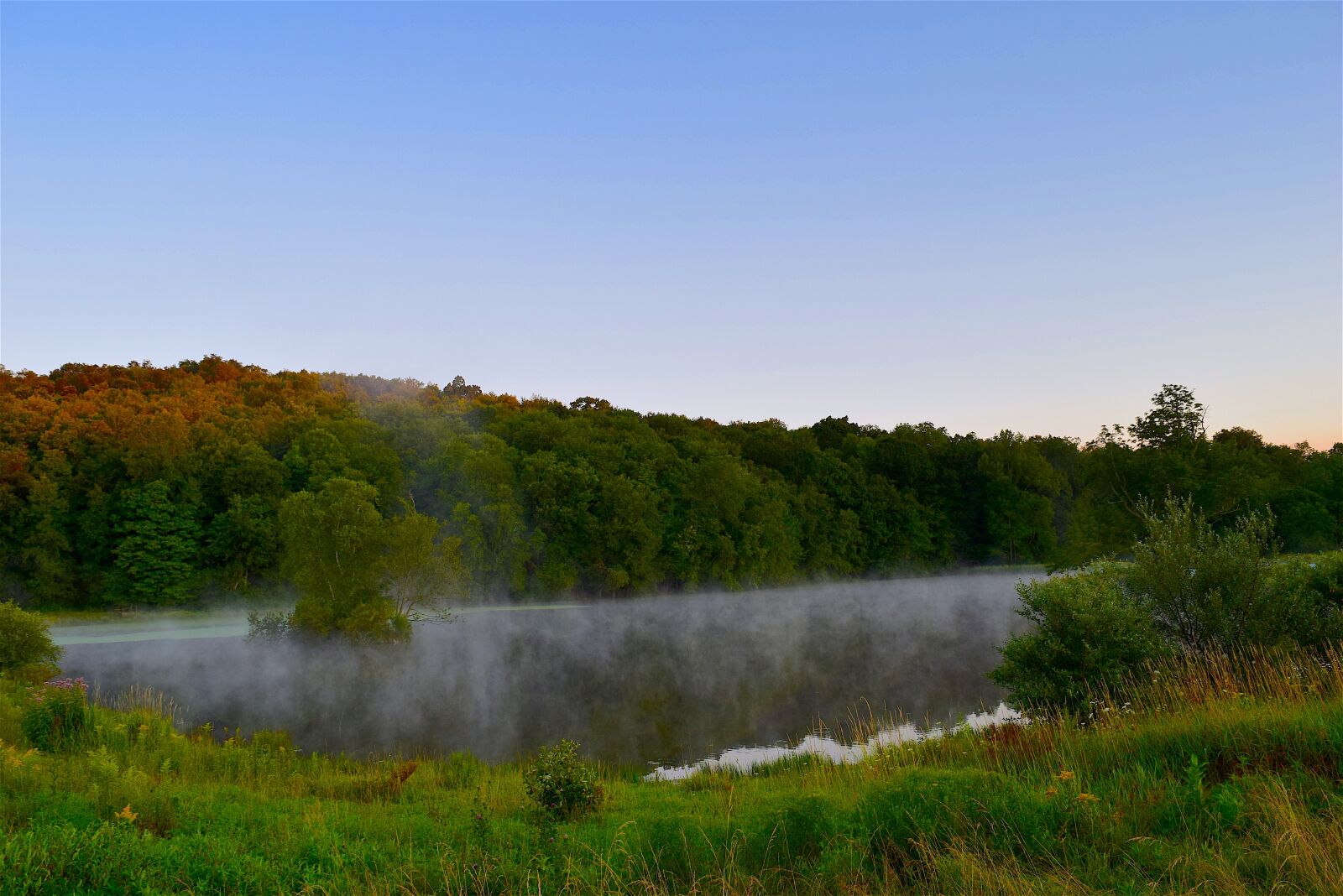 Nikon D3300 sample photo. Pond, mist, forest photography