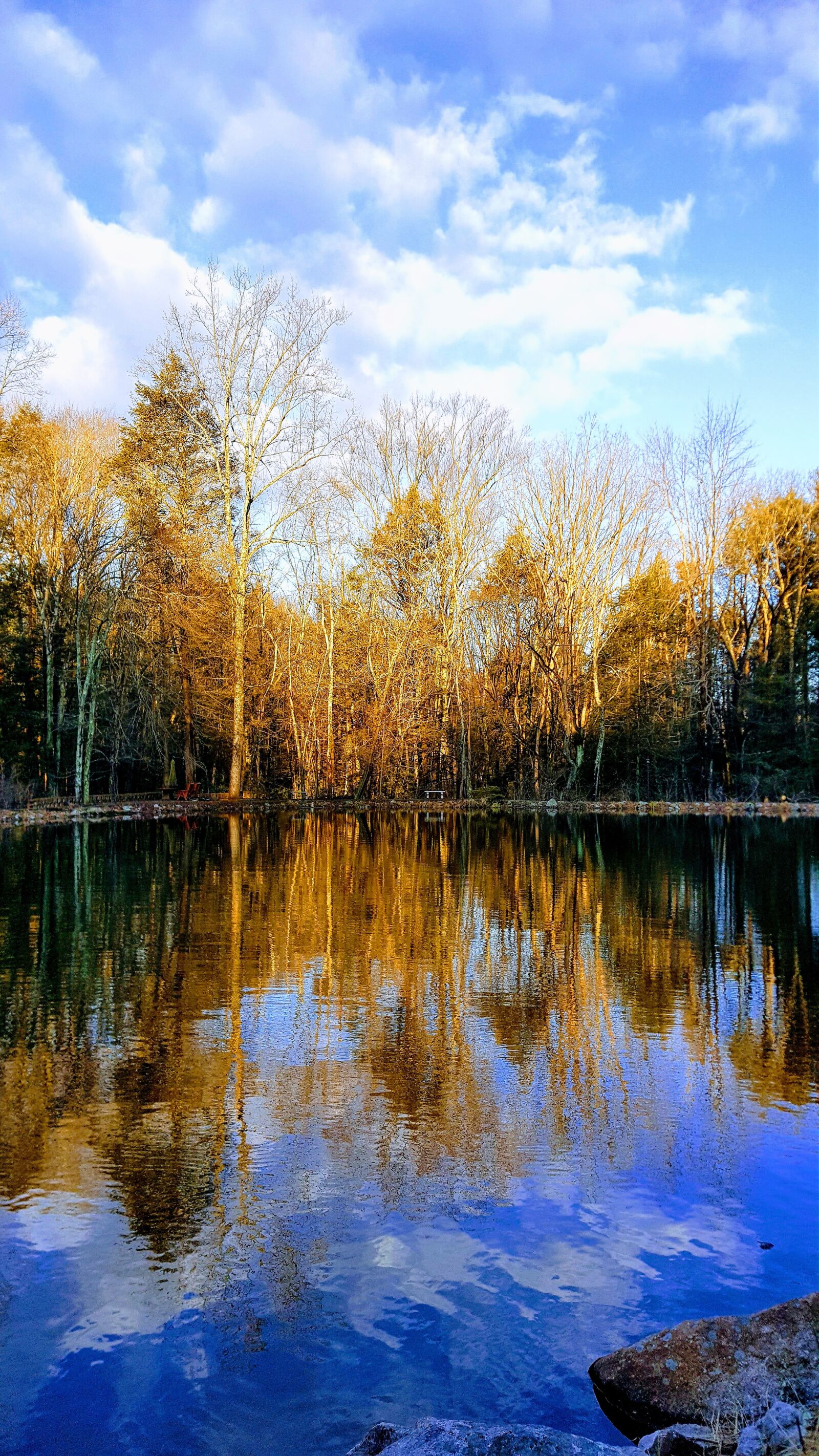 Samsung Galaxy Note5 sample photo. Reflection, trees, lake photography