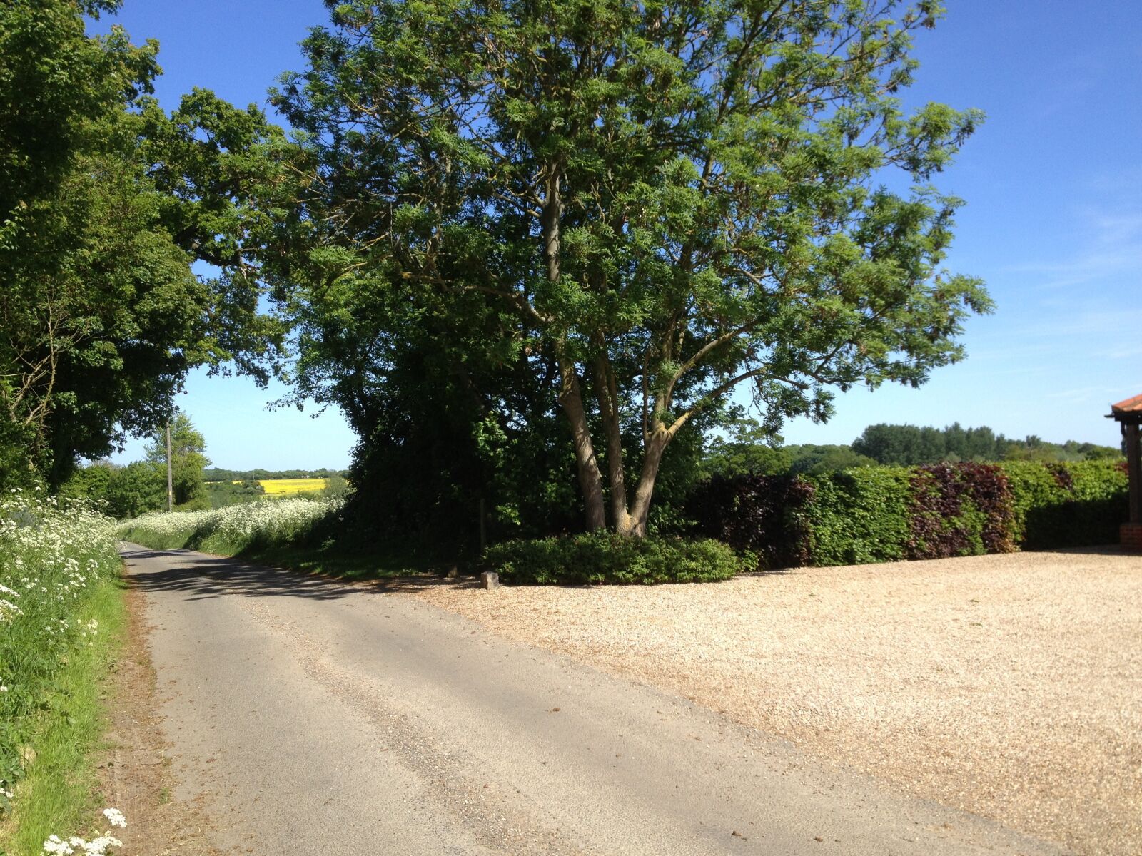 Apple iPhone 4S sample photo. Trees, nature, coutrystide photography