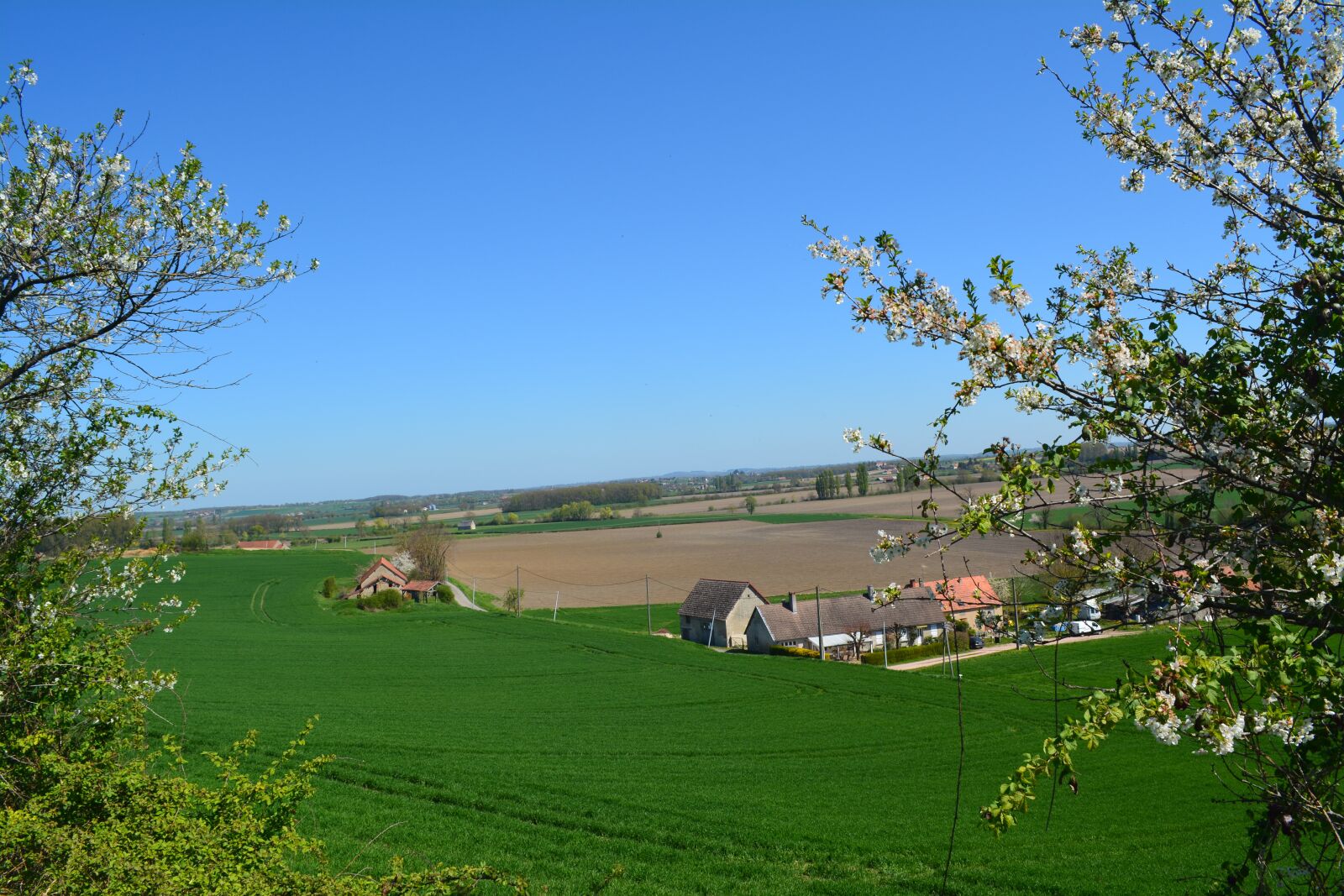 Nikon D5200 sample photo. Nature, landscape, the dome photography