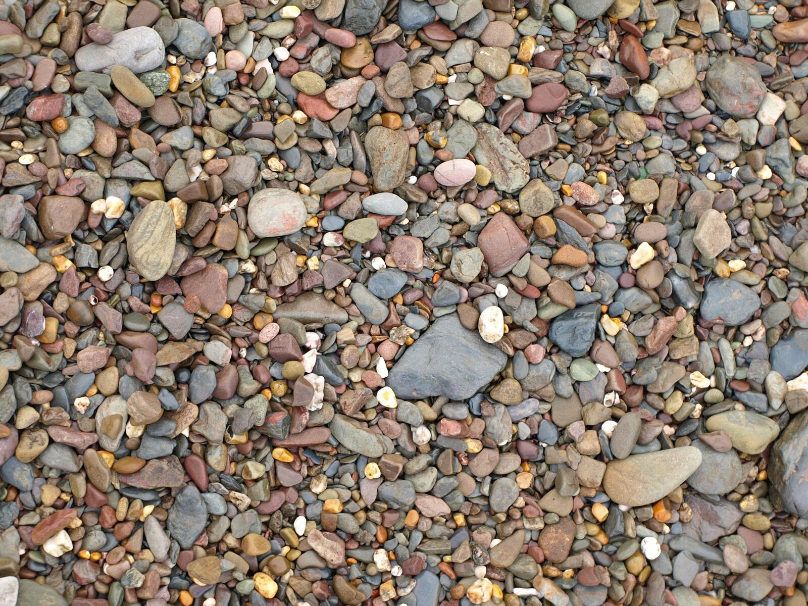 Olympus E-510 (EVOLT E-510) sample photo. Stones, pebble, background photography