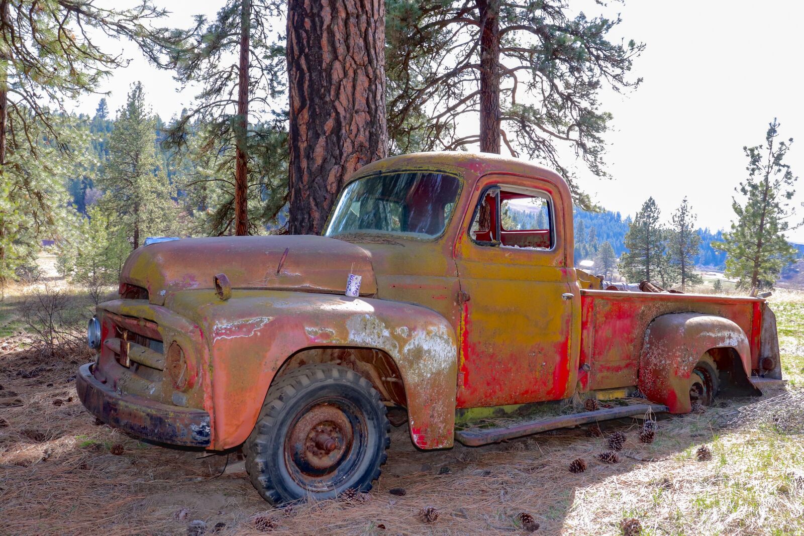 Canon EOS 800D (EOS Rebel T7i / EOS Kiss X9i) + Canon EF-S 18-55mm F4-5.6 IS STM sample photo. Old cars, elberton wa photography