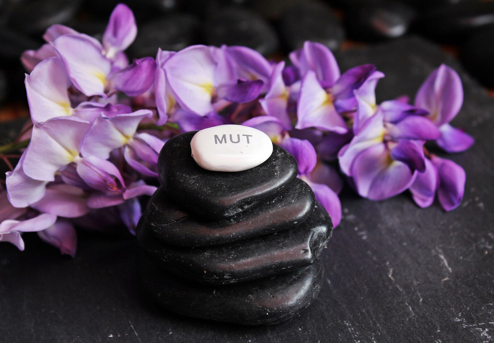 Canon EOS 550D (EOS Rebel T2i / EOS Kiss X4) sample photo. Balance, meditation, stones photography