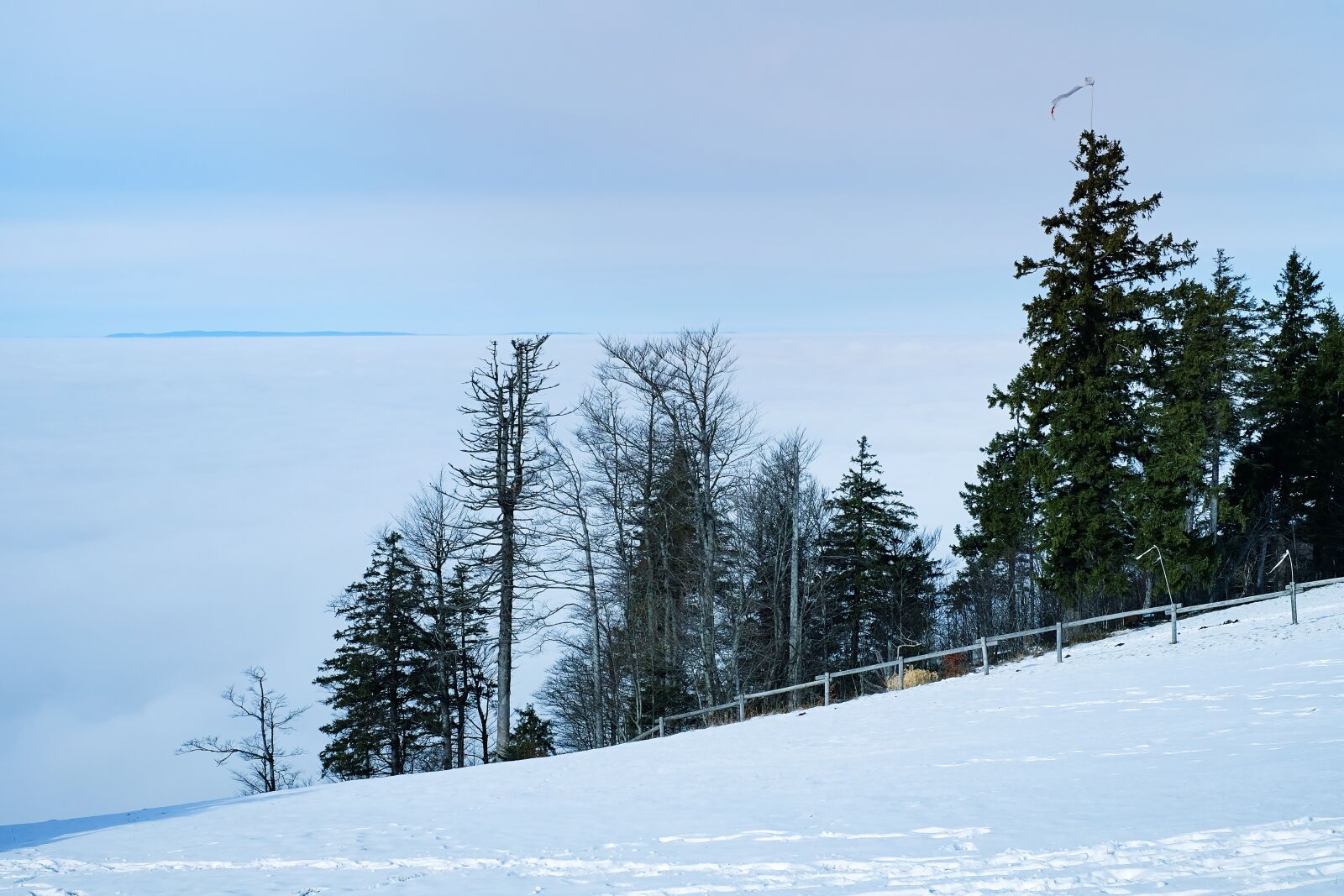 Fujifilm X-T10 + Fujifilm XF 35mm F1.4 R sample photo. Fog, kandel, black forest photography
