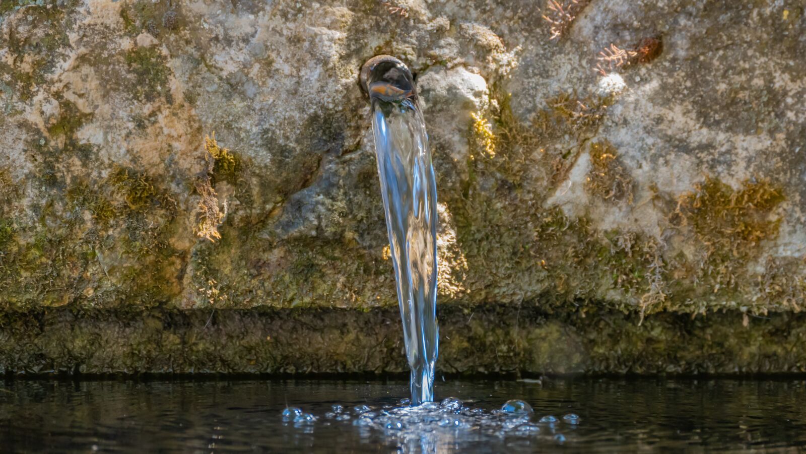 Panasonic DC-FZ10002 sample photo. Water source, water, fresh photography