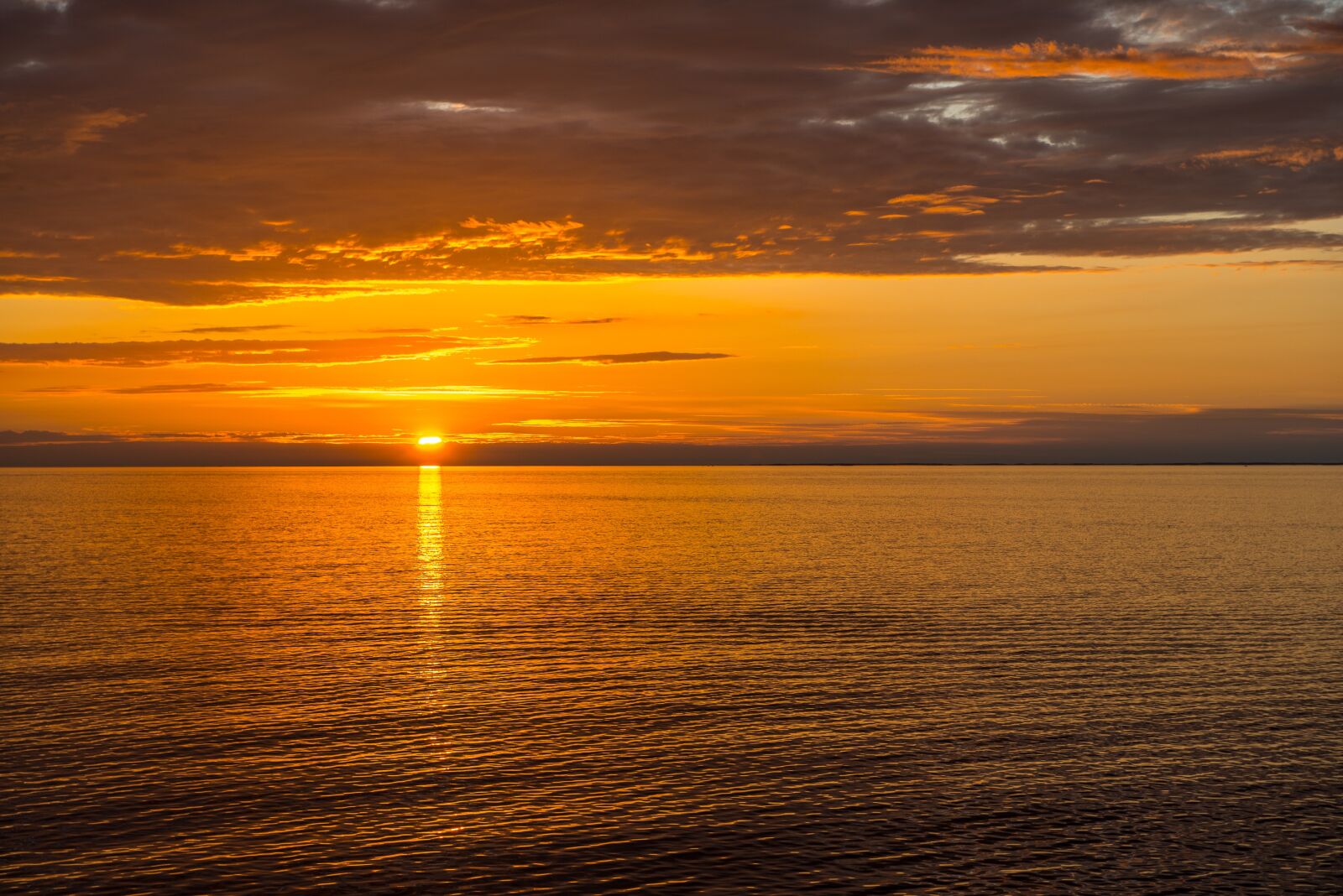 Nikon D800 sample photo. Sun, sea, evening photography
