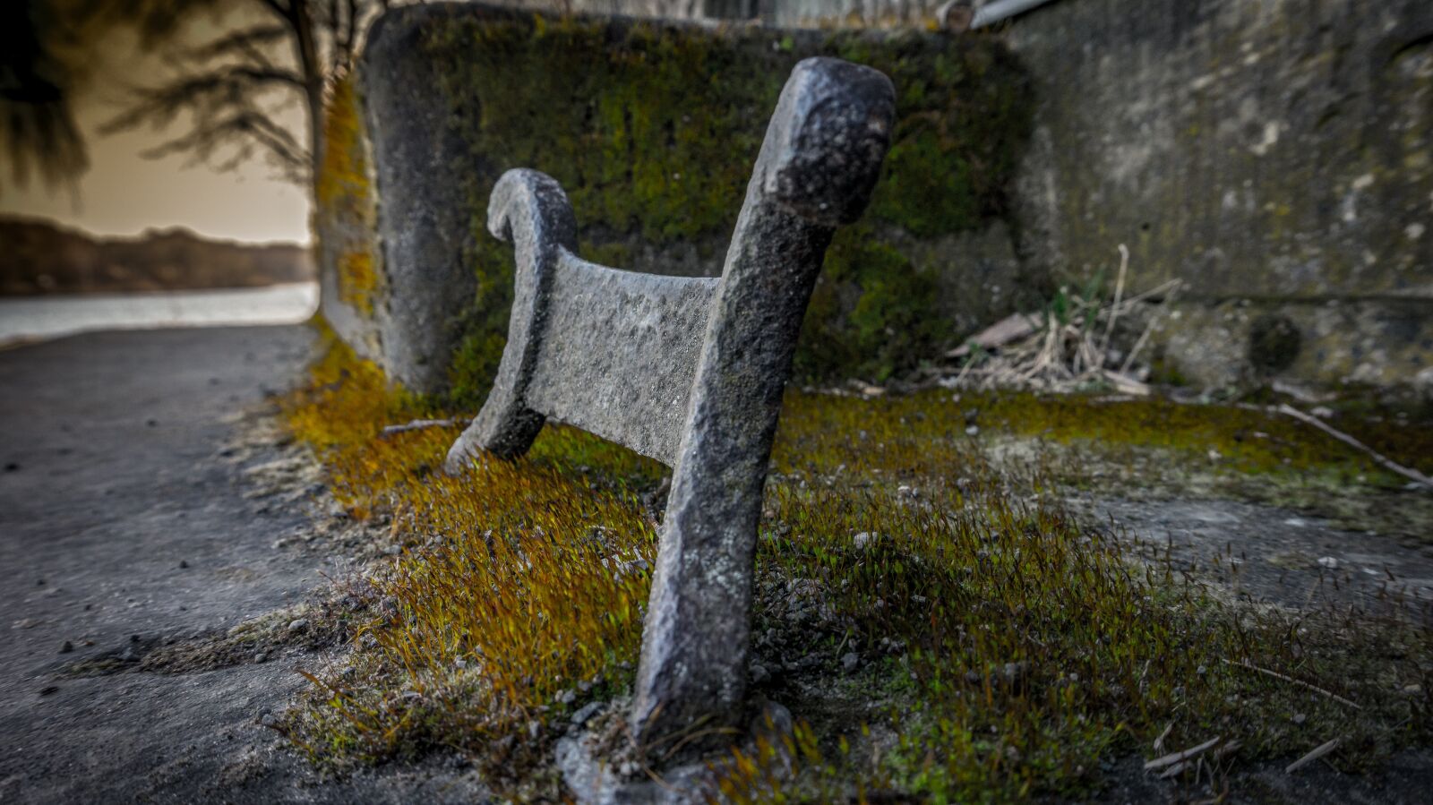Sony Alpha a5000 (ILCE 5000) sample photo. Nature, stone, iron photography