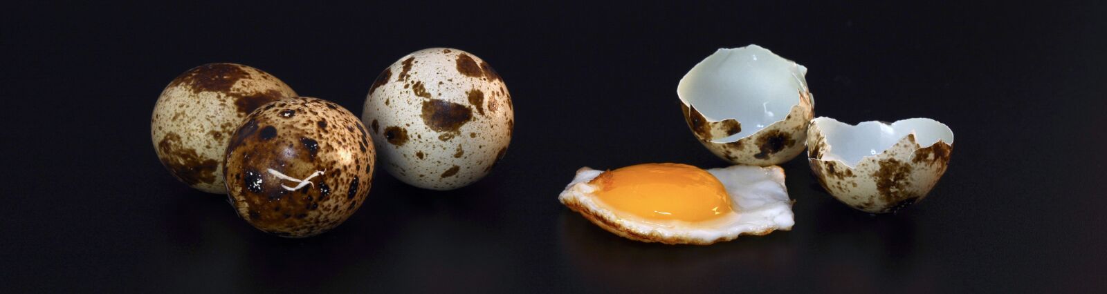 Nikon D7100 sample photo. Quail egg, shell, fried photography