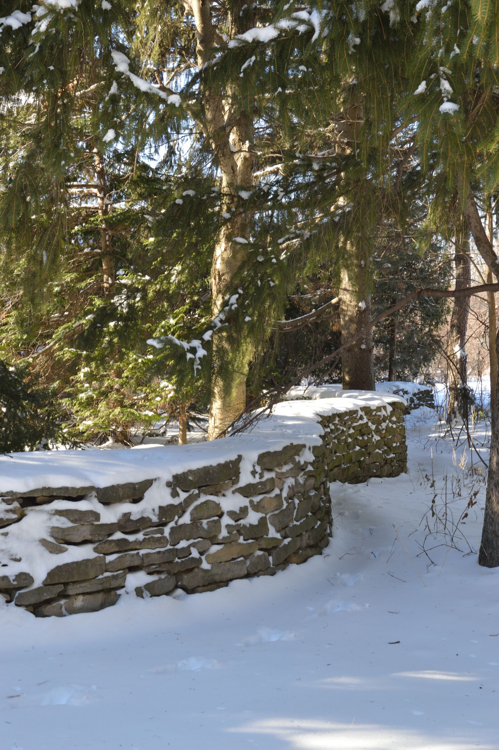 Nikon D3200 sample photo. Wall, snow, winter photography