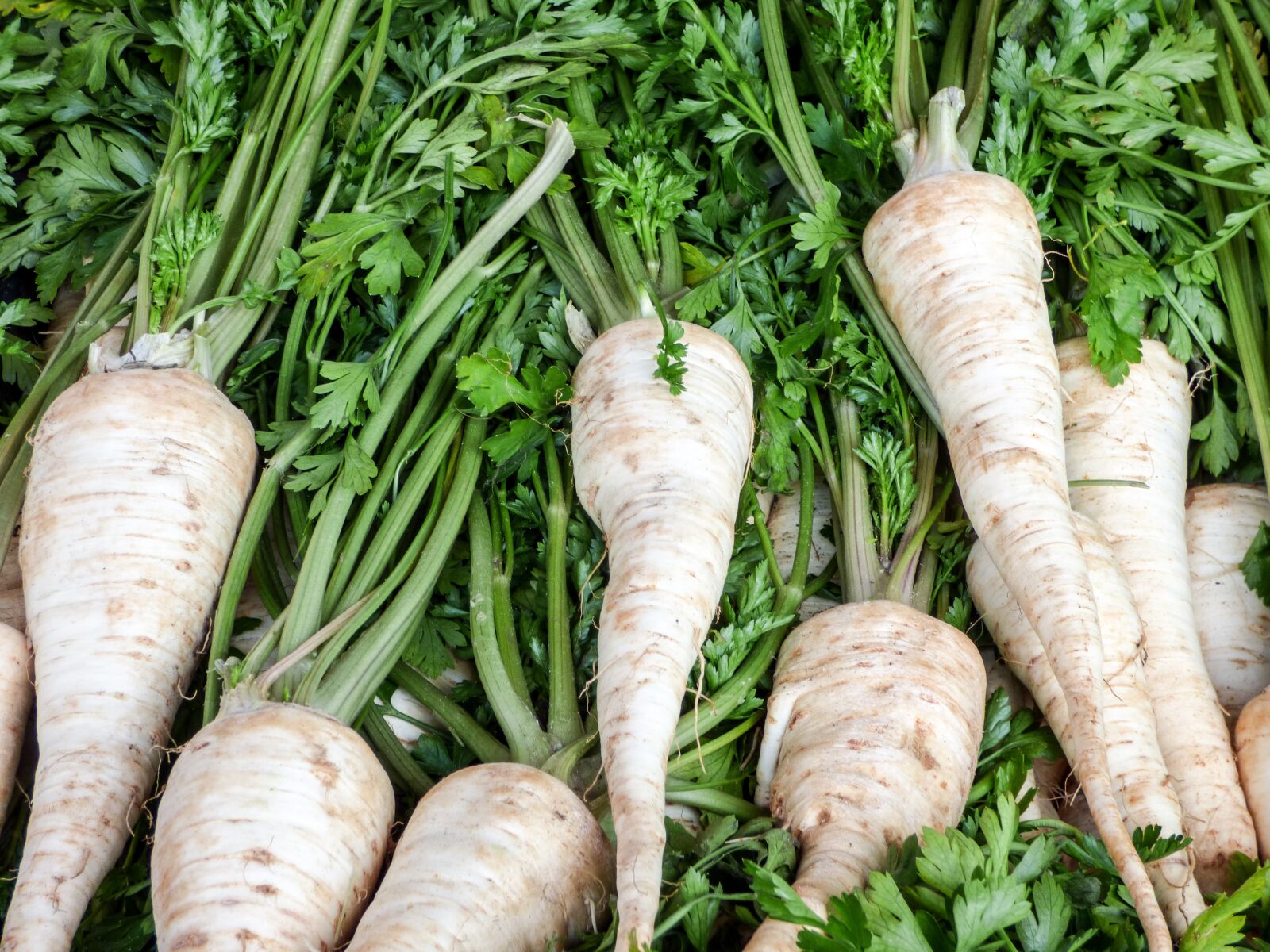 Panasonic DMC-FZ72 sample photo. Vegetables, turnip, market photography