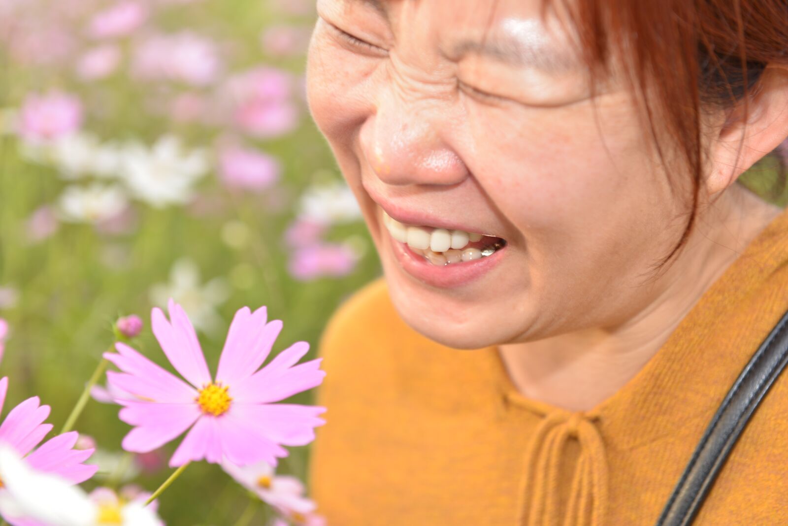 Nikon D600 sample photo. Fall flowers, cosmos, woman photography