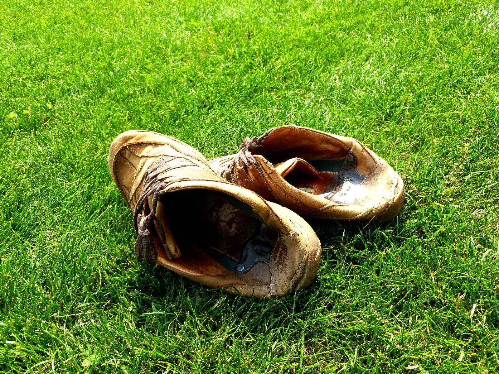 Panasonic DMC-FS37 sample photo. Shoes, hike, hiking photography