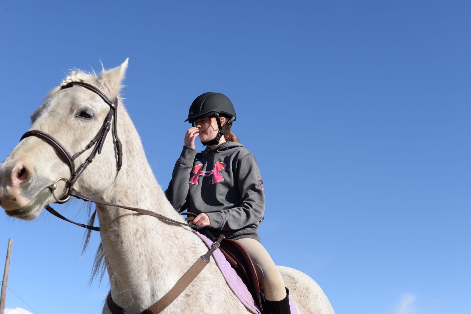 Nikon D610 sample photo. Stables, horse, farm photography